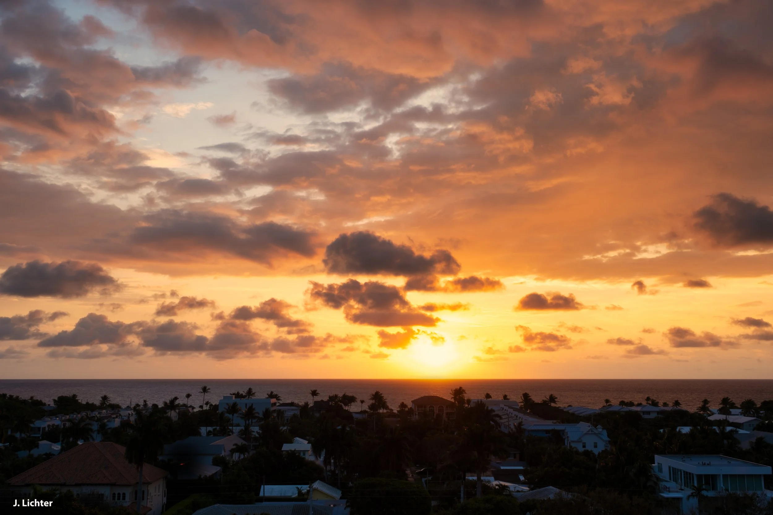 Florida 2026-103.jpg