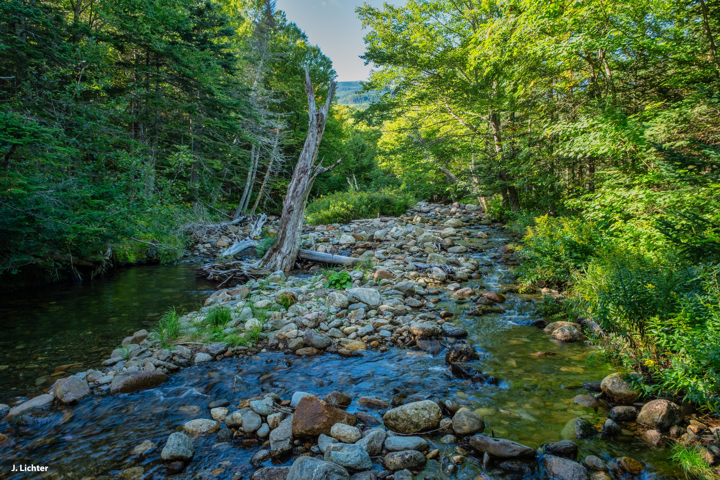 Cutler River.  Pinkham Notch, New Hampshire.