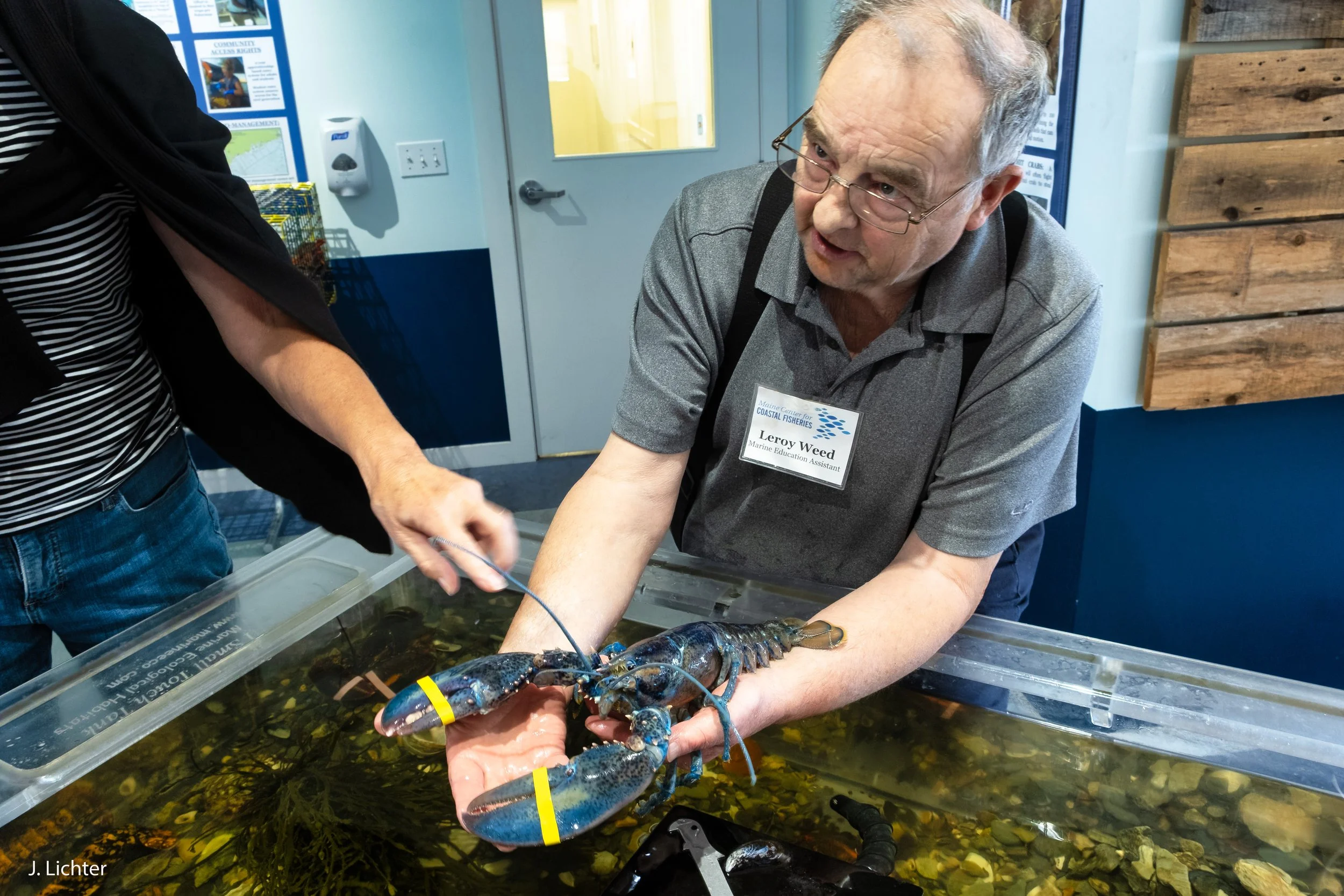 Stonington 2019-5.jpg