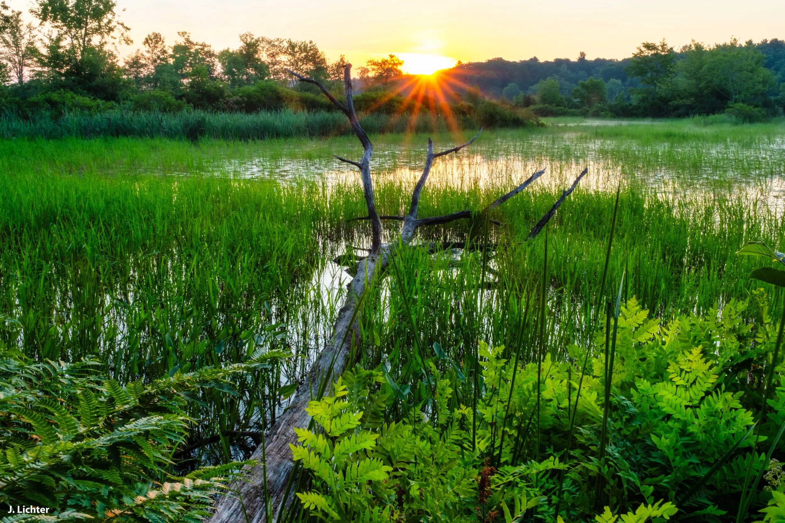 Upper pond of Cobboseecontee.  Litchfield, Maine. 
