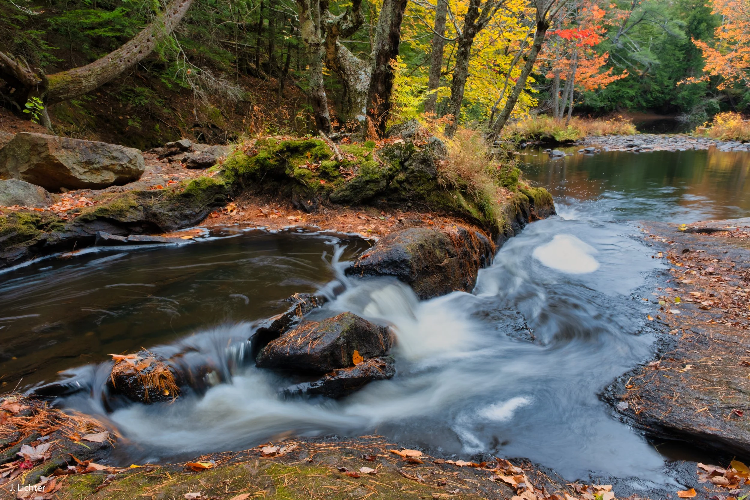 Cathance River 2024-5.jpg