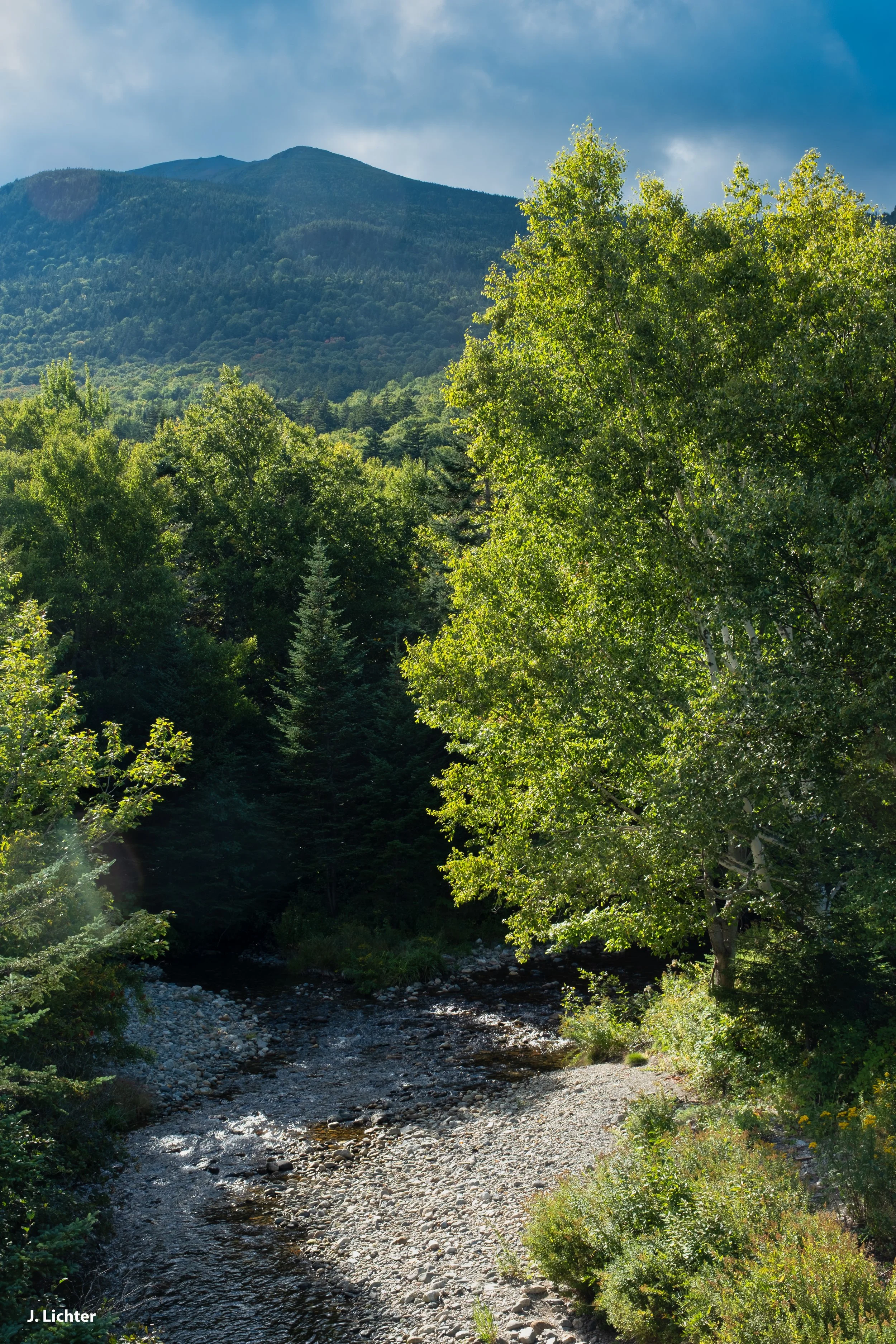 Cutler River.  Pinkham Notch, New Hampshire.