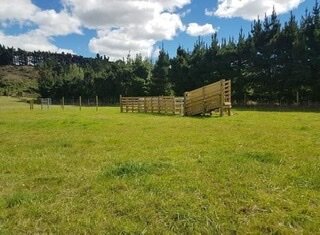 10688D28-FEF1-480E-94AC-CE38EC3C2507.jpeg