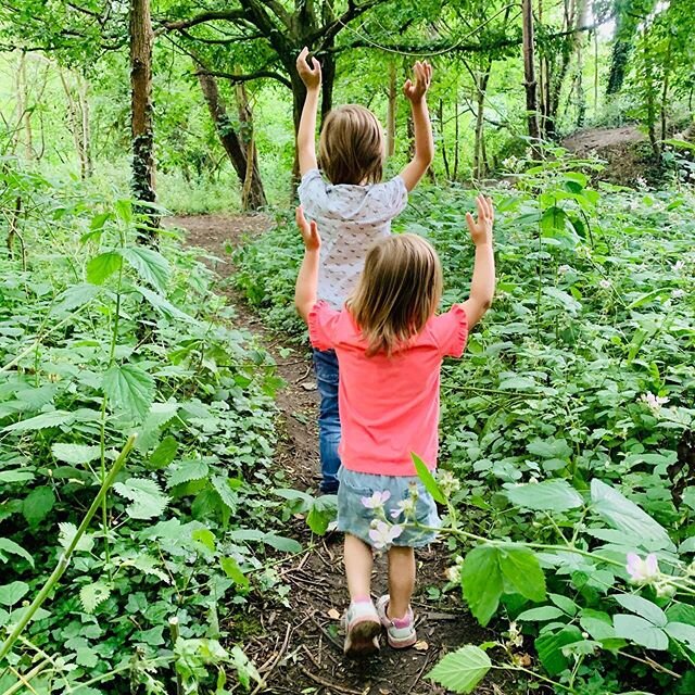 🌱 Feel the fear &amp; do it anyway 🌱 .
This is the &lsquo;nettle dance&rsquo; ~ they do it anytime we walk through the woods even if there aren&rsquo;t any.. 😂🤫😂
. 
#goodnewstues #lockdownwalks #nettledance #homeschool #workingparents #gettingou