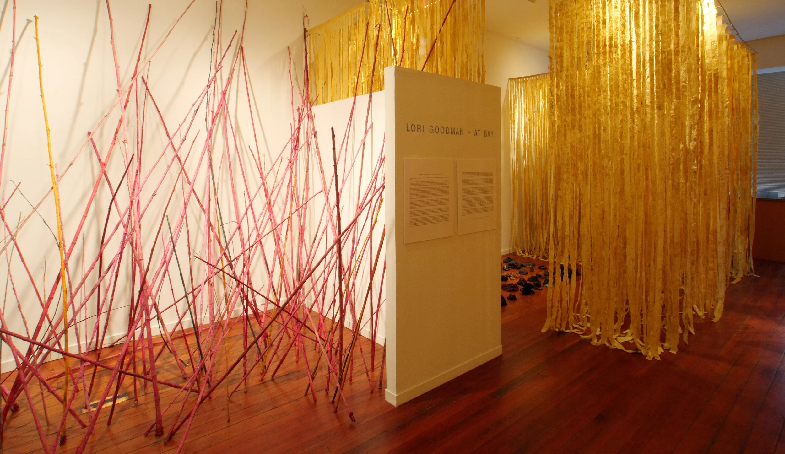 Pink Grass and Blobs
