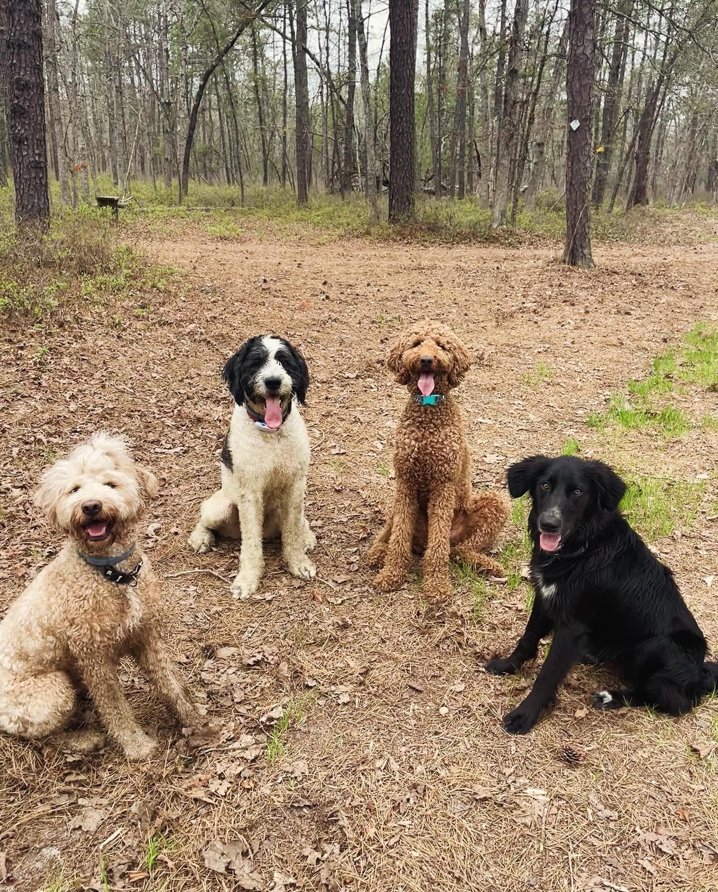 fun hike with crew! #tonguesout