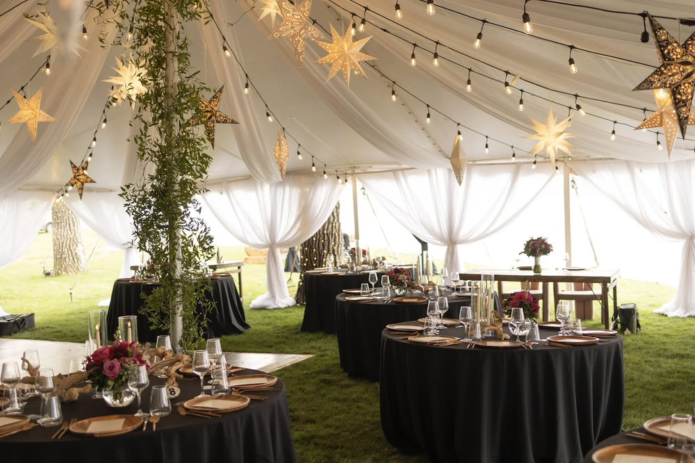 Backyard wedding in bismarck planned by behind the scenes events
