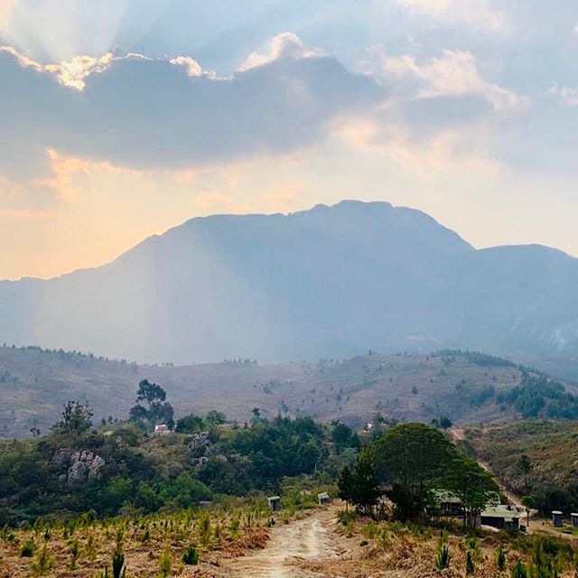 Happy International Mountain Day! ⛰ Today we’re reflecting on the breathtaking Mount Mulanje, Malawi’s highest peak and a truly magnificent sight 🏞 Have you been there? #exploremalawi #mulanjemountain #travel