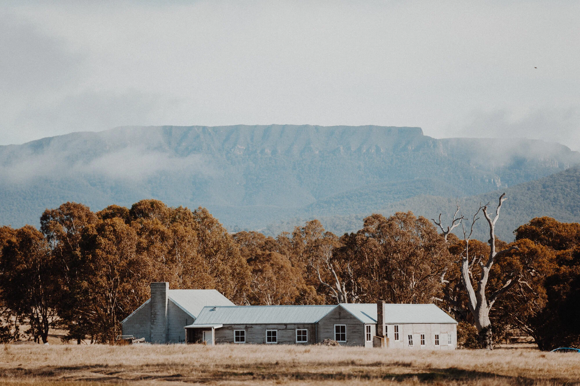 Shearers Quarters — Mount William Station