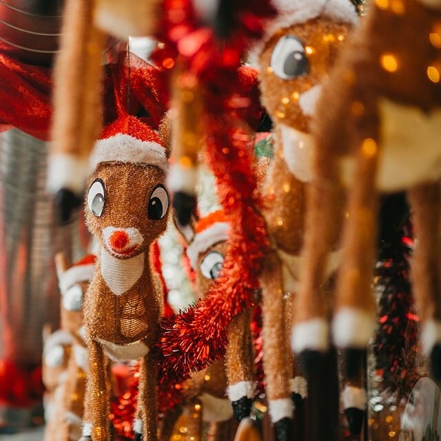 The reindeer are getting ready for takeoff! Rudolph's is getting ready to shut its doors TOMORROW, so be sure to stop by to get your dose of Christmas Spirit before it's too late!⁠
.⁠
.⁠
.⁠
#rudolphsbar #popupbar #christmasbar #chicagobars #chicagoni