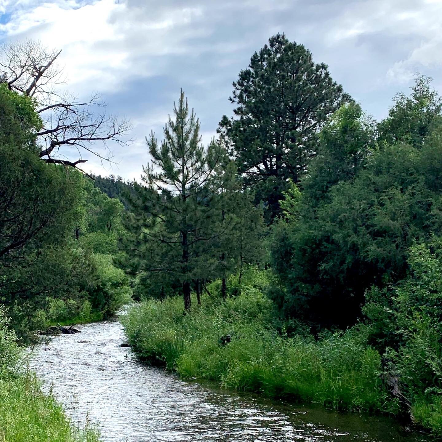 Just around the riverbend&hellip; I never tire of this view or the sound of this river rushing by our cabin door.
#newmexico