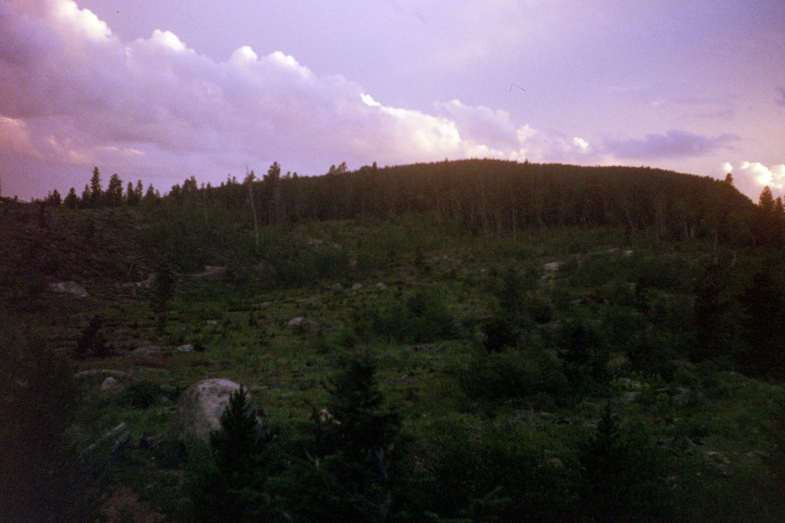 81F27B42-5D48-4409-85C6-0564409A3E37.jpeg