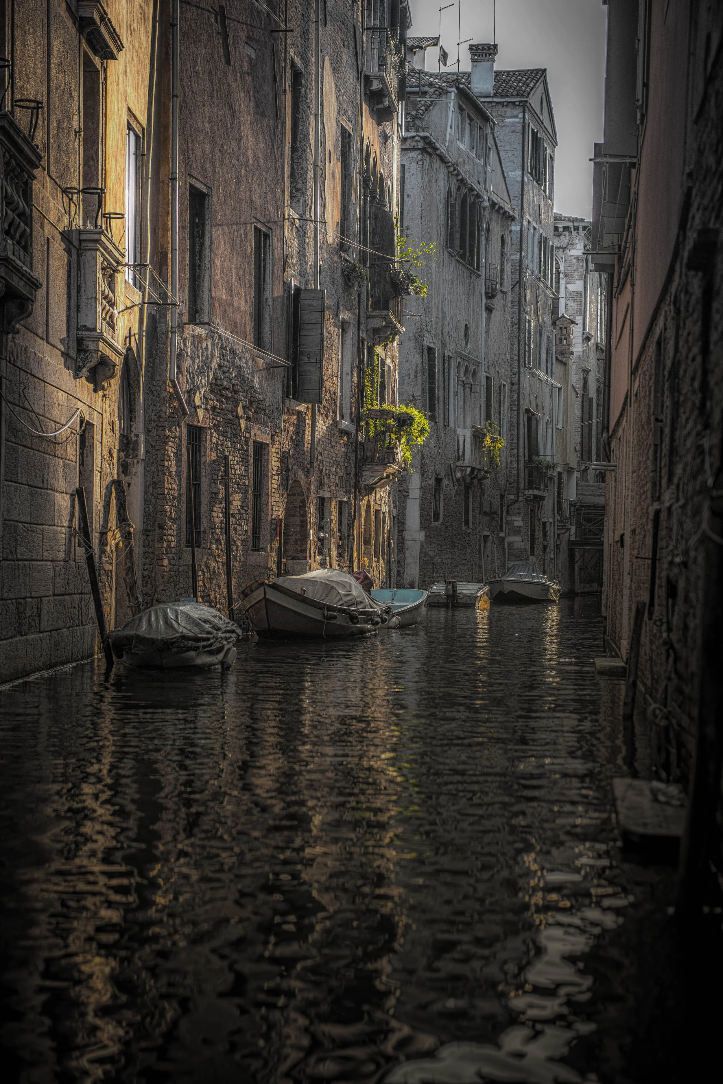 VIC_8000 LU 1 19 LU 1 179.jpg