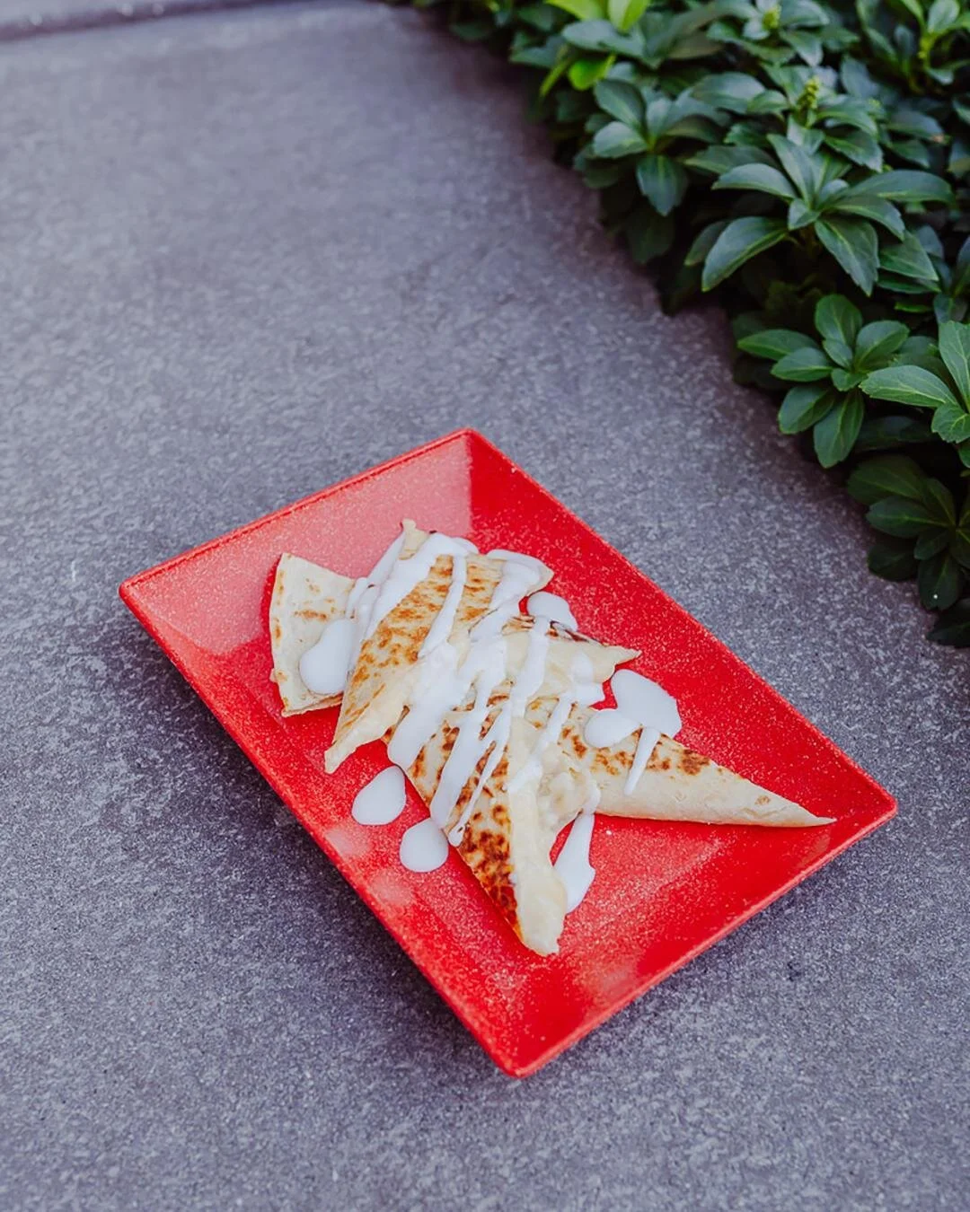 Quesadillas will forever sound like a gReAt idea! 🤩 Pictured is our Kids Quesadilla, perfect for your family lunch visits ❤️ Don't forget to join us for our Taquito Tuesday today until 3PM!