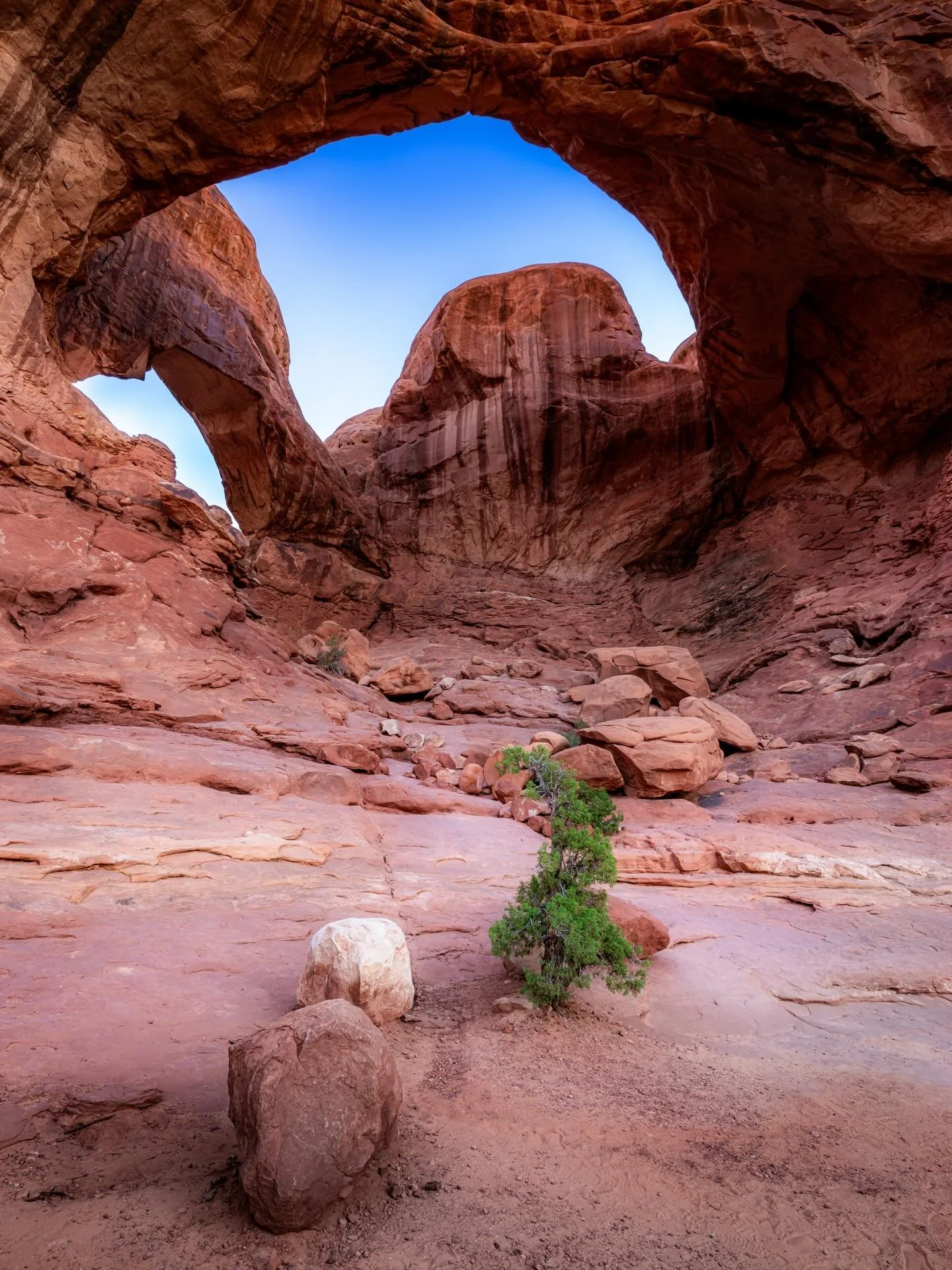 I love being up before dawn.
Rolling into the park while the world is still asleep, long before the crowds pour in. Standing in the dark, knowing there&rsquo;s something out there I can&rsquo;t see yet&mdash;but it&rsquo;s waiting.

I set my composit