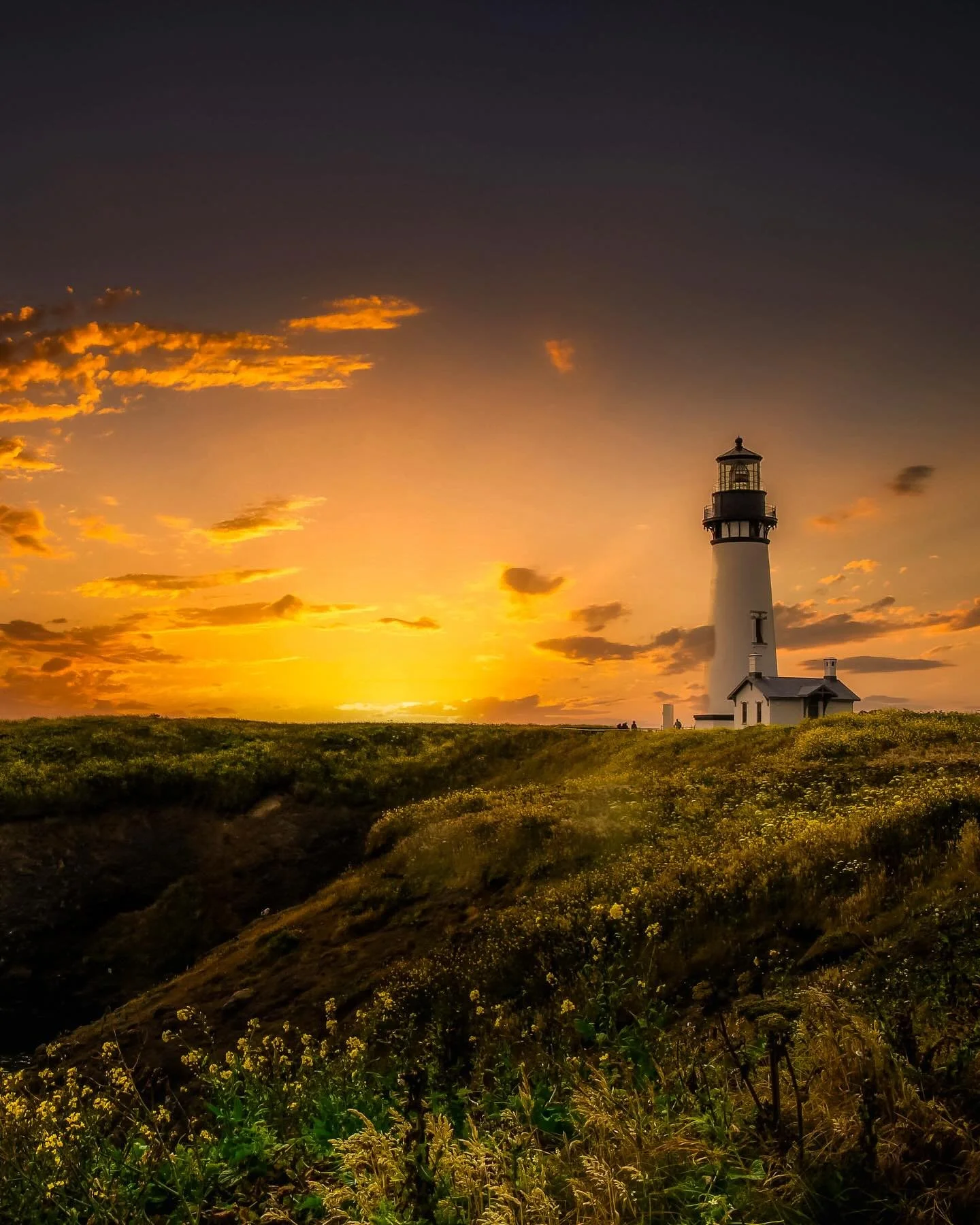 West coast sunsets can be pretty rad&hellip;. #westcoast #pacific #pnw #pacificnorthwestisbest #pacificanorthwest