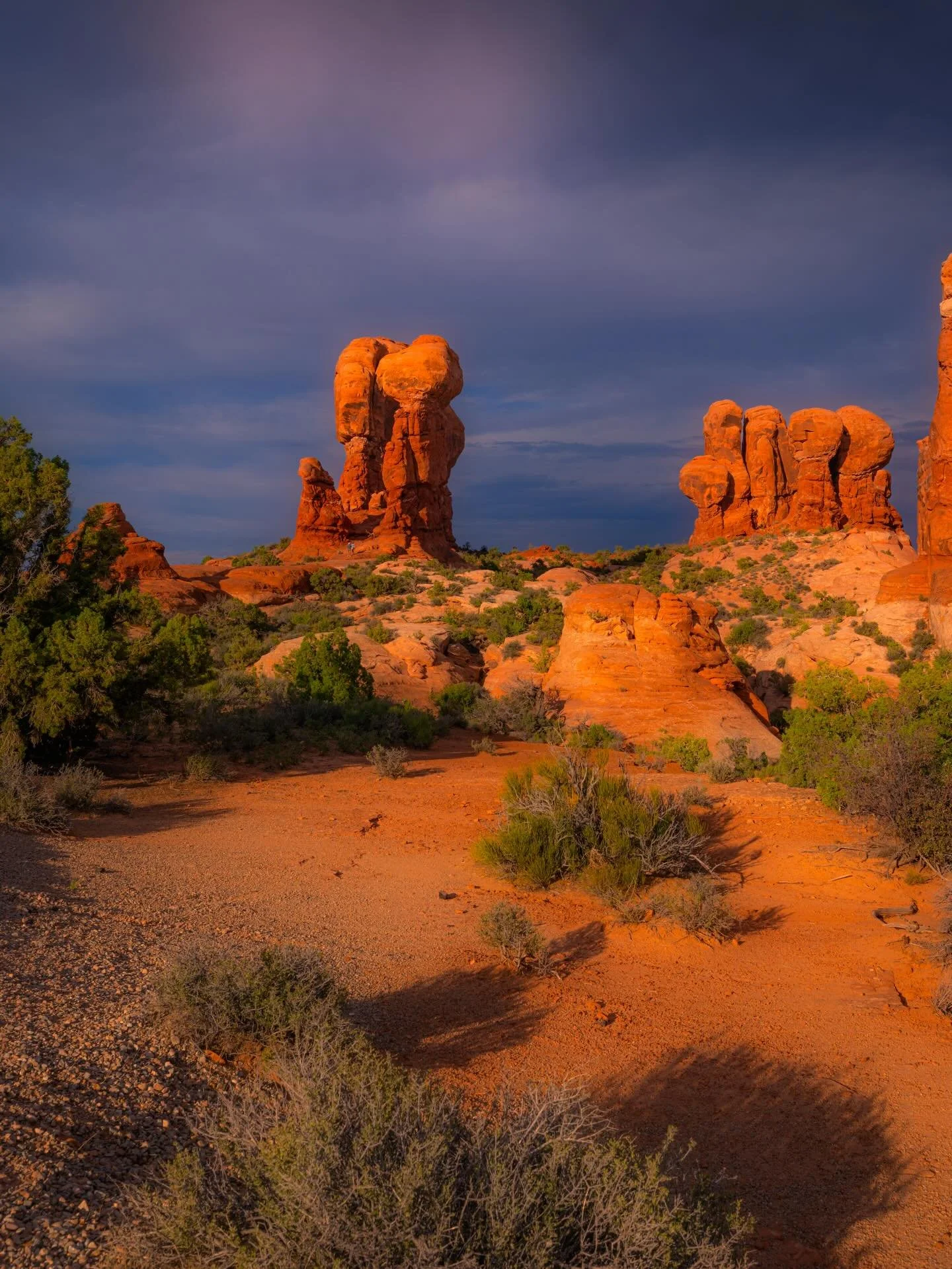 #desert #desertphotography #utah #utahphotographer #utahisrad