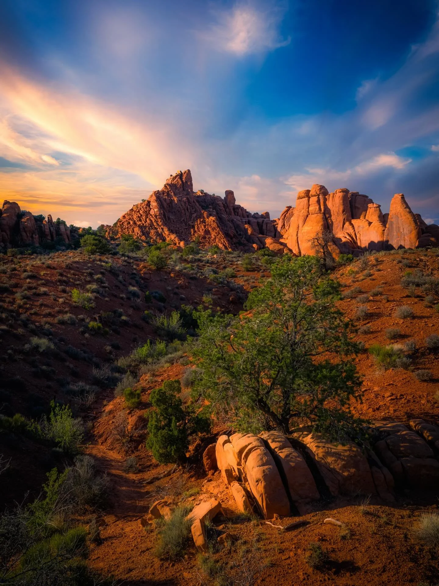 Think I&rsquo;m moving&hellip;. #desert #utah #utahphotographer #utahisrad #utahisbeautiful