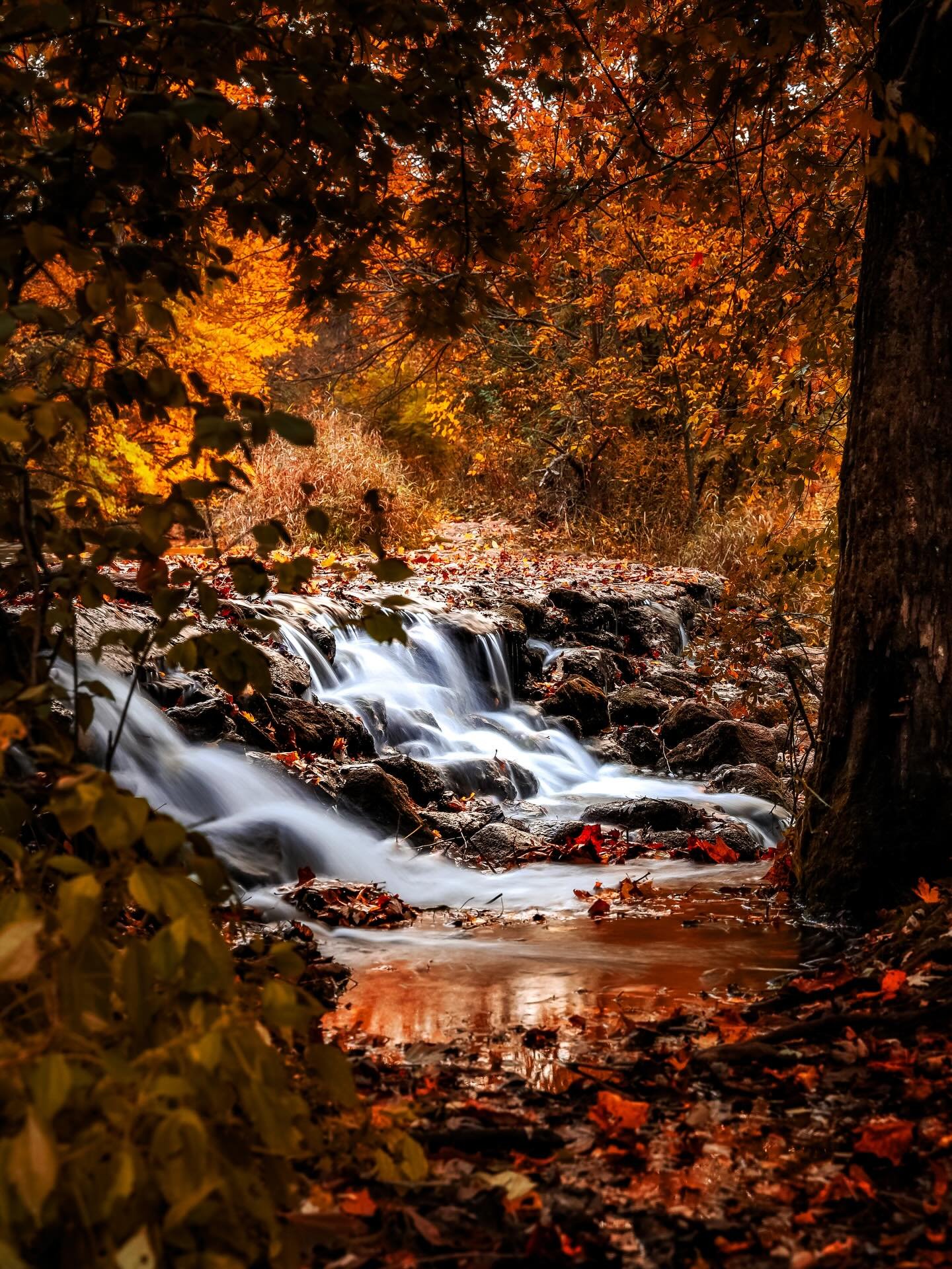 Having some deep thoughts &hellip;.. #autumnvibes🍁 #autumn #waterfall #autumnwaterfall #waterfalls