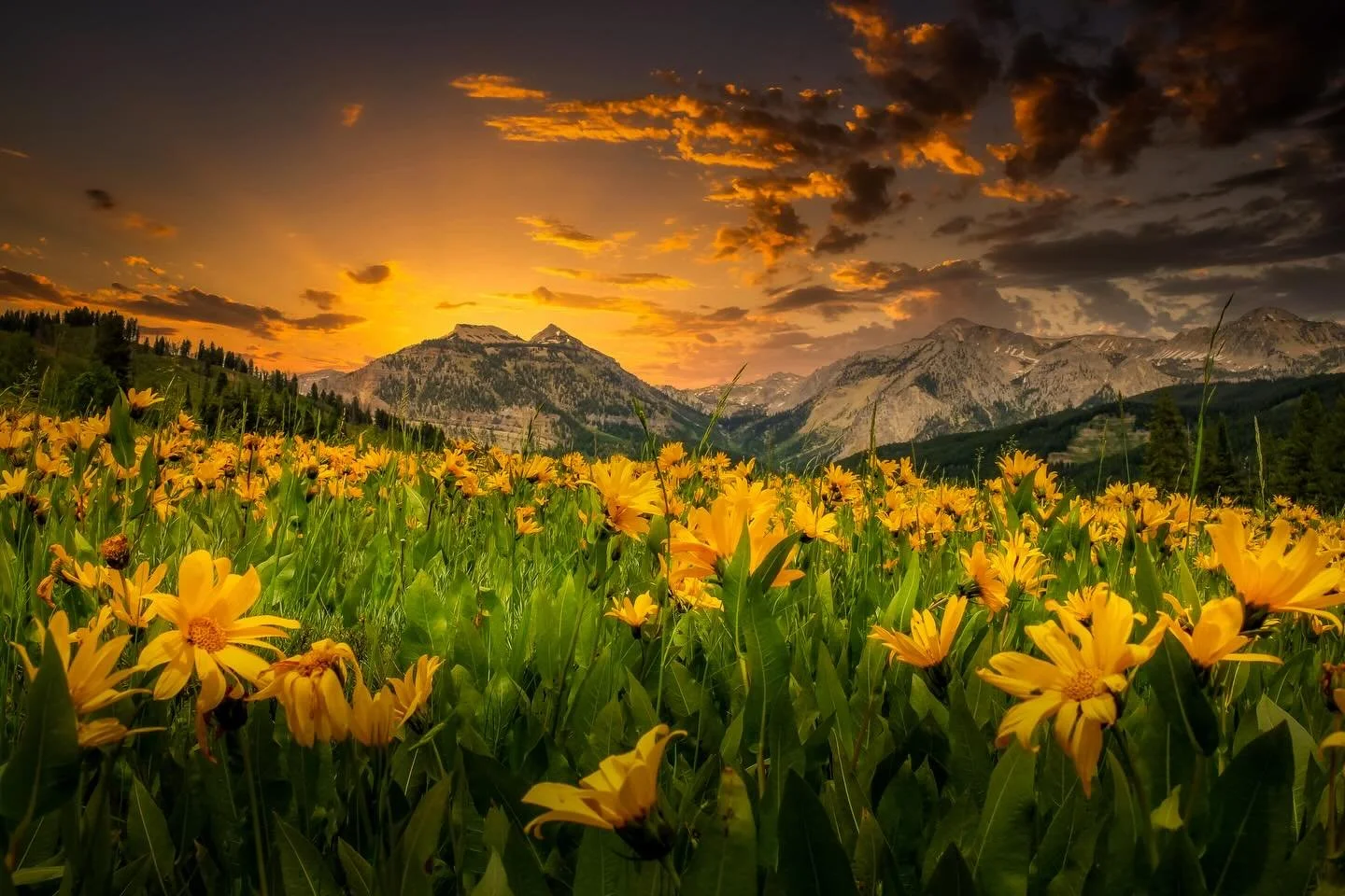 Still one of my all time favorite shots .. a lot of memories with this one &hellip; #teton #grandtetonphotographer #wyoming #wyomingphotographer #wyominglife