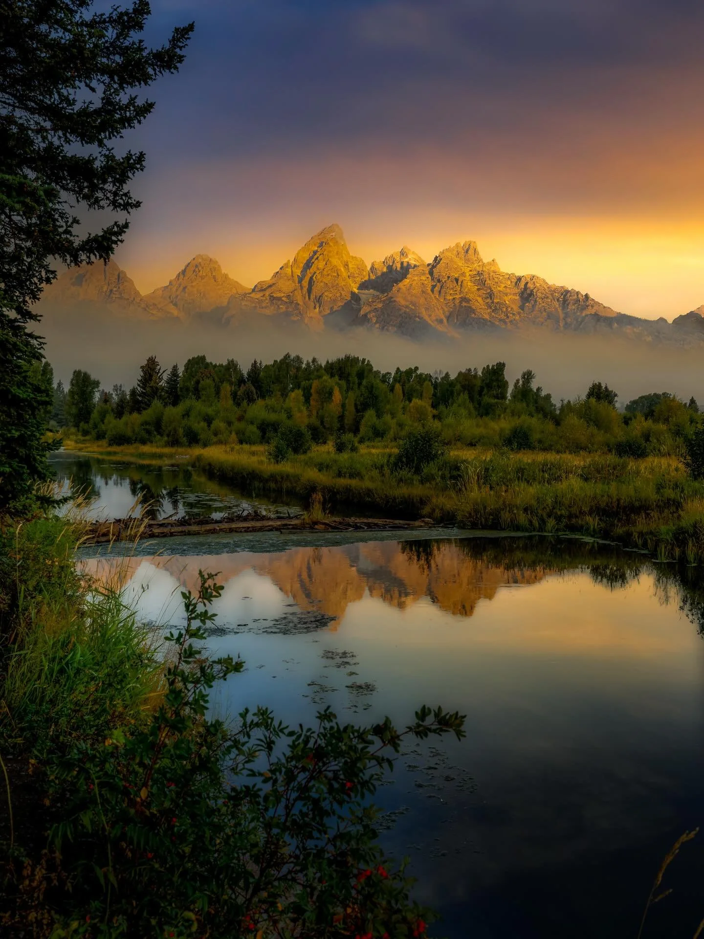 Remember something.

When most of us picked up a camera&hellip; a pen&hellip; a paintbrush&hellip; a guitar&hellip; we didn&rsquo;t do it for applause. We did it because something inside us needed a voice.

Photography, writing, art&hellip; it was a 