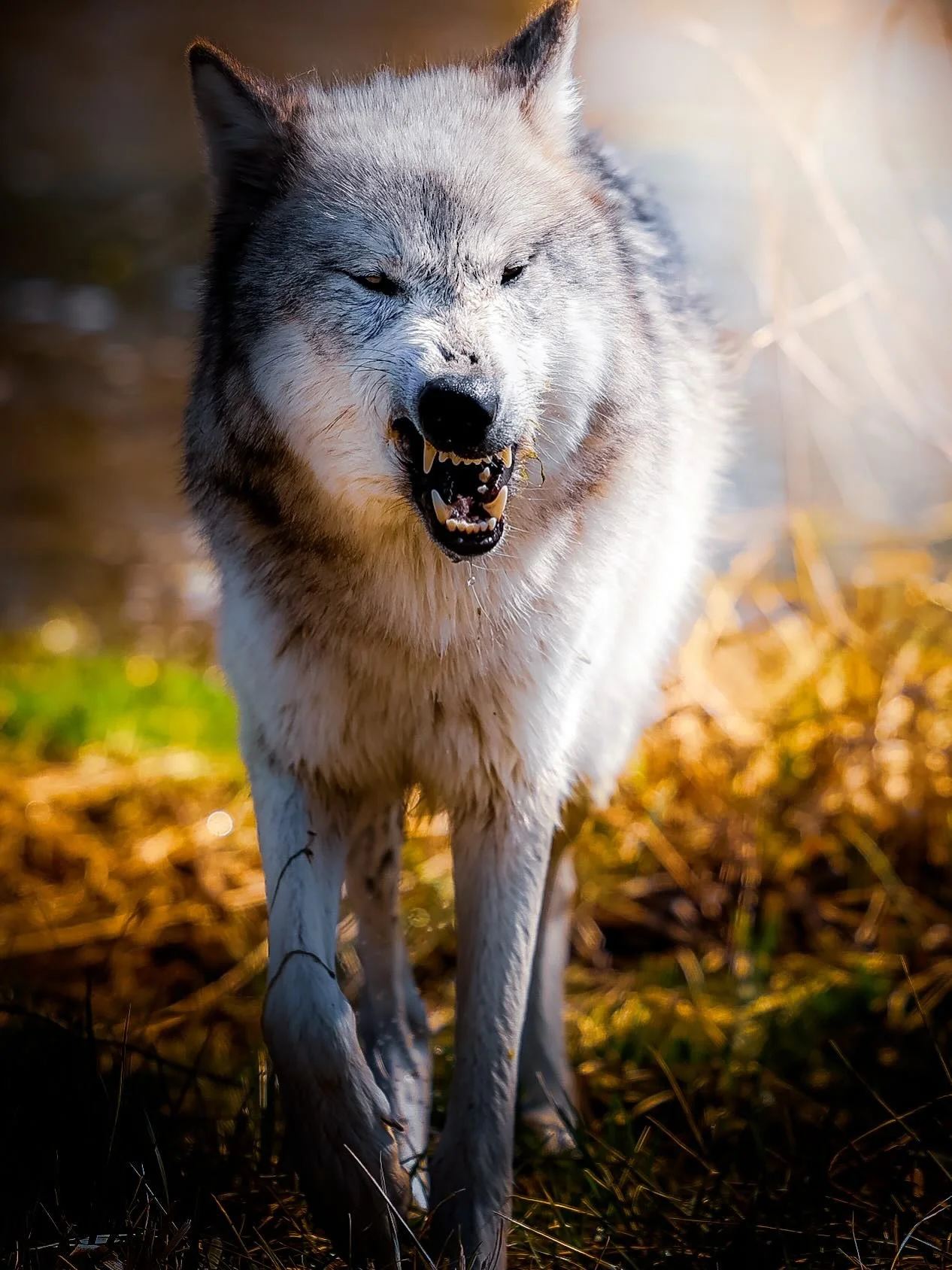 This is part of my music I edit to series&hellip; #3 and this one&rsquo;s for @dustintebbutt 

His music doesn&rsquo;t try to grab you&mdash;it settles in.

Stripped down. Atmospheric. A lot of space between the notes&hellip; and that&rsquo;s where t