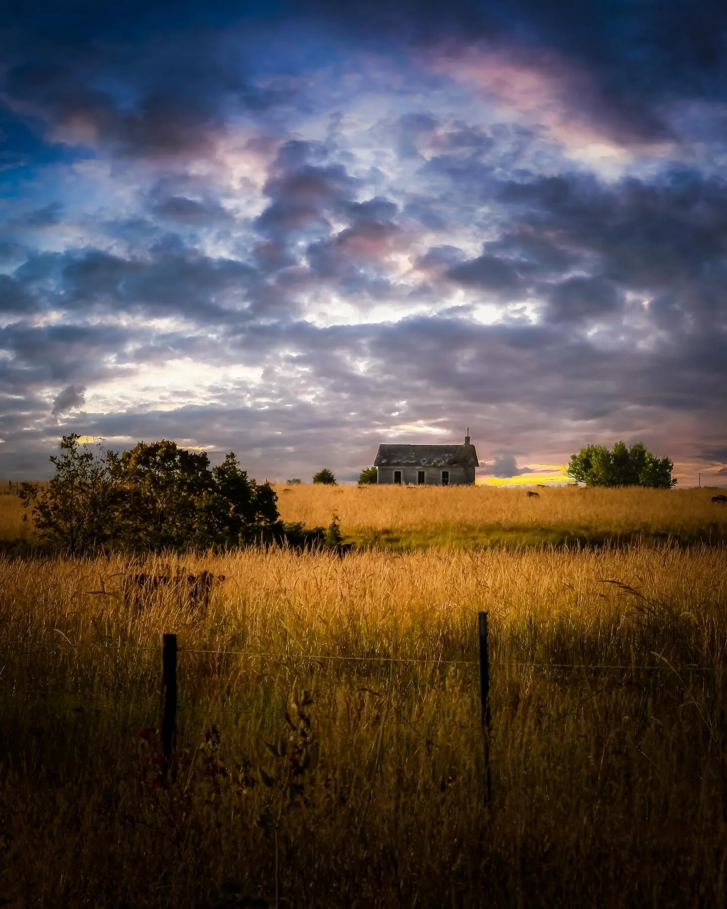 Ever say to yourself&hellip;. &ldquo; I wish I would have known&rdquo;&hellip;. #shouldhaveknown #wishiknew #again