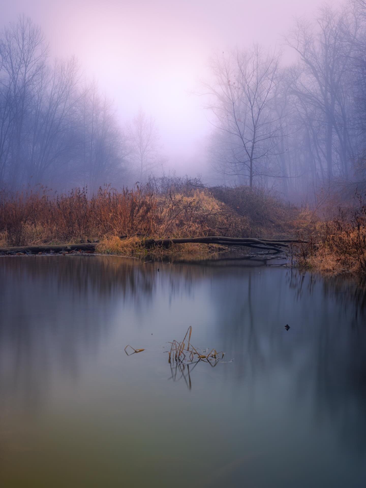 I love cold, foggy mornings.. #mood #fog #atmosphere #coldmorning #therightmood