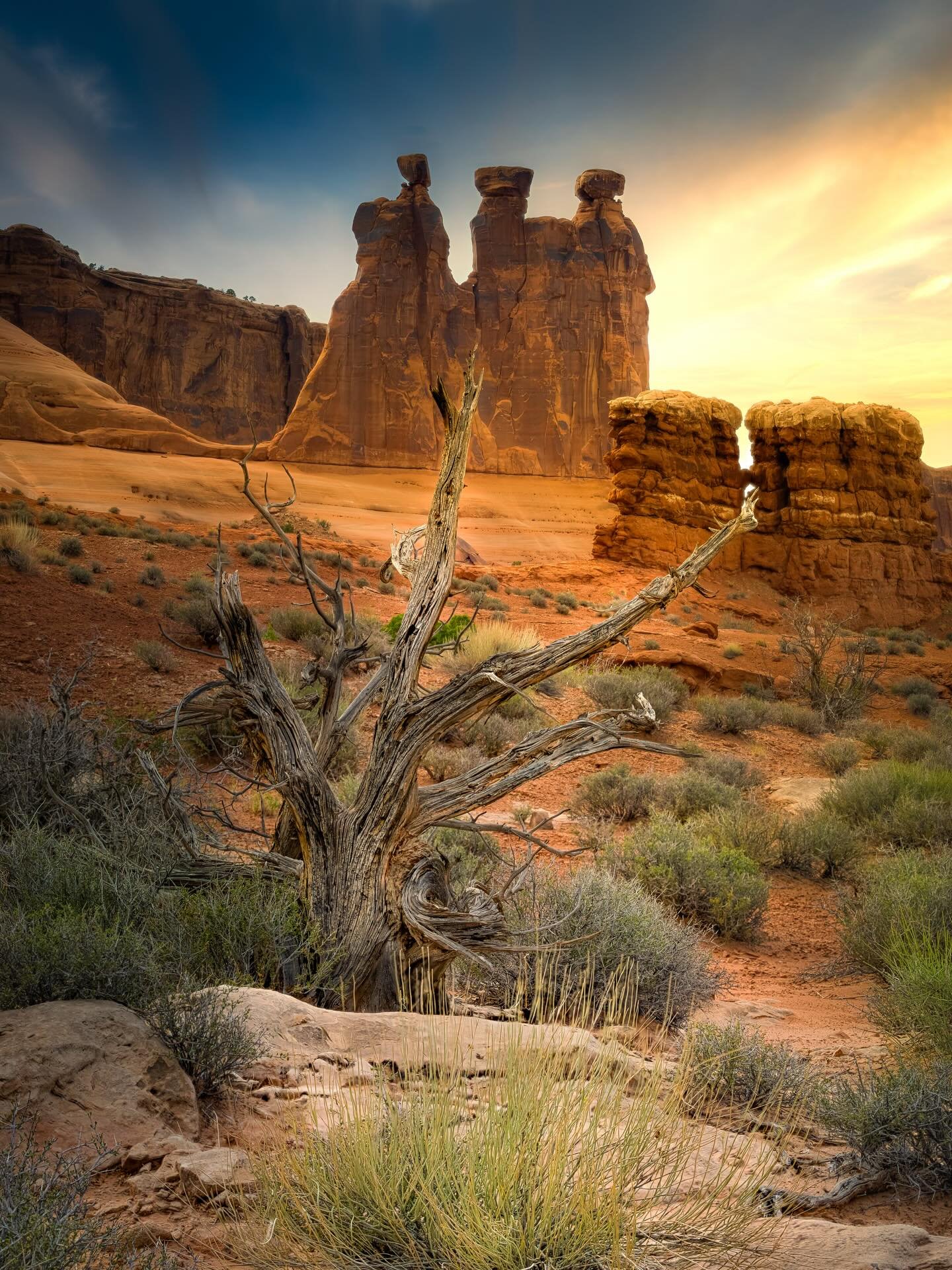Desert morning light&hellip;. #desert #morninglight #desertmornings #utah #utahmornings