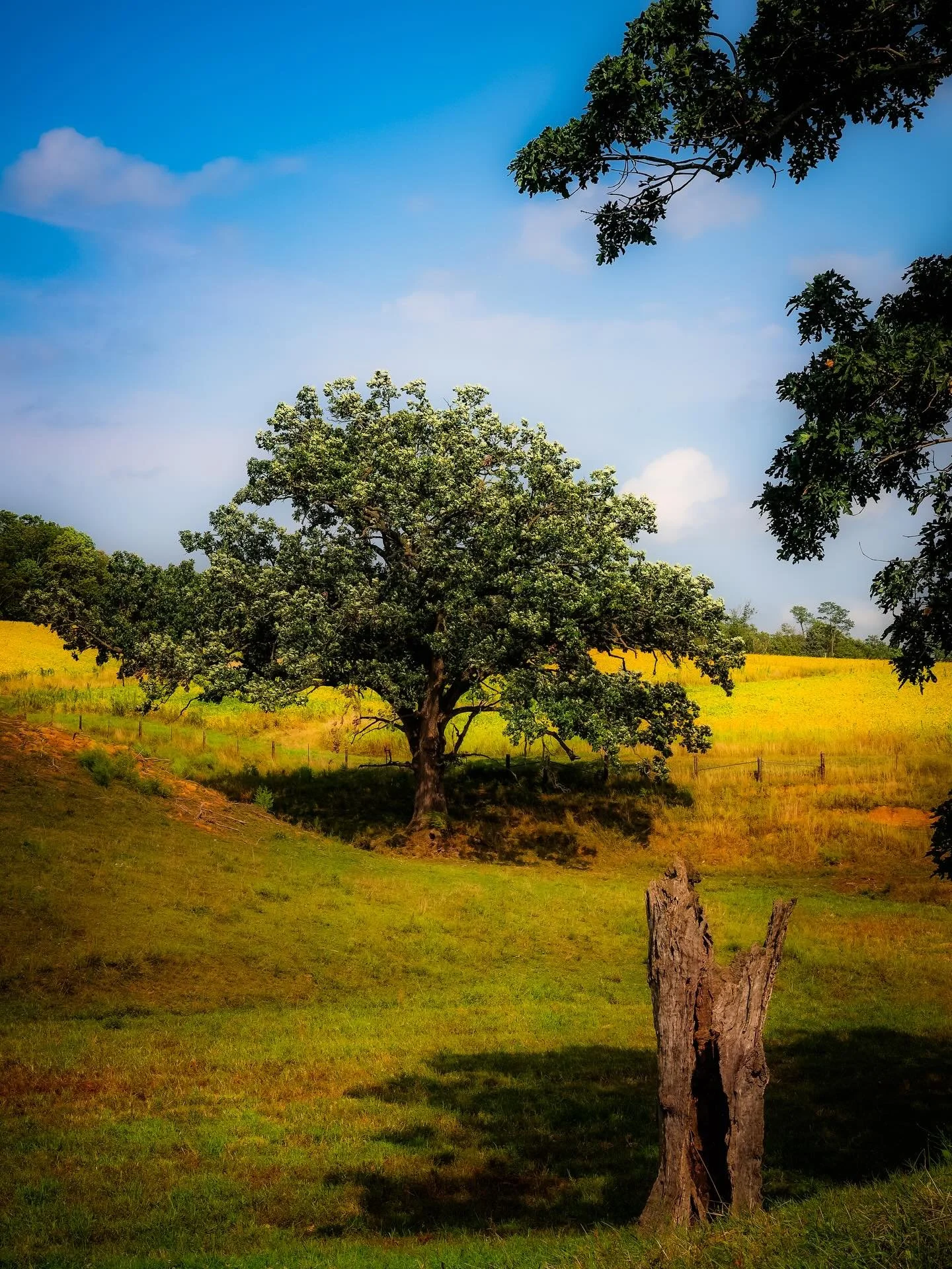 I&rsquo;ve been coming to this same spot since I was a kid.

Back then, it was just a place to sit&hellip; to get away from the noise.
A place where I first started putting thoughts on paper.
Journaling&hellip; trying to make sense of things I didn&r