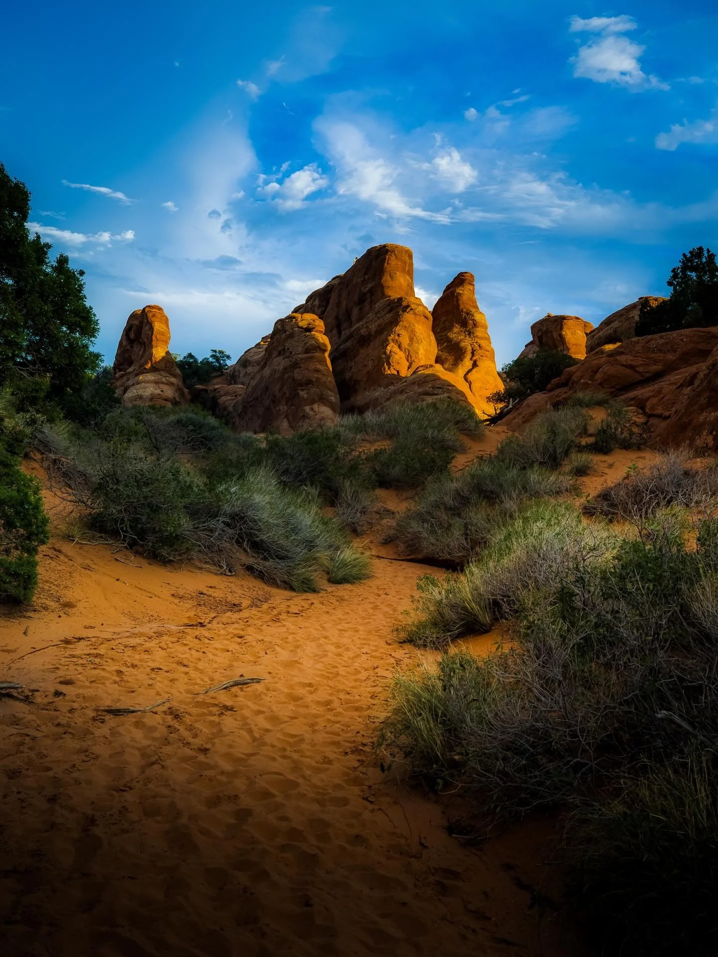 Ahhhh desert days&hellip; #utah #utahdesert #desert #desertsun #utahisrad