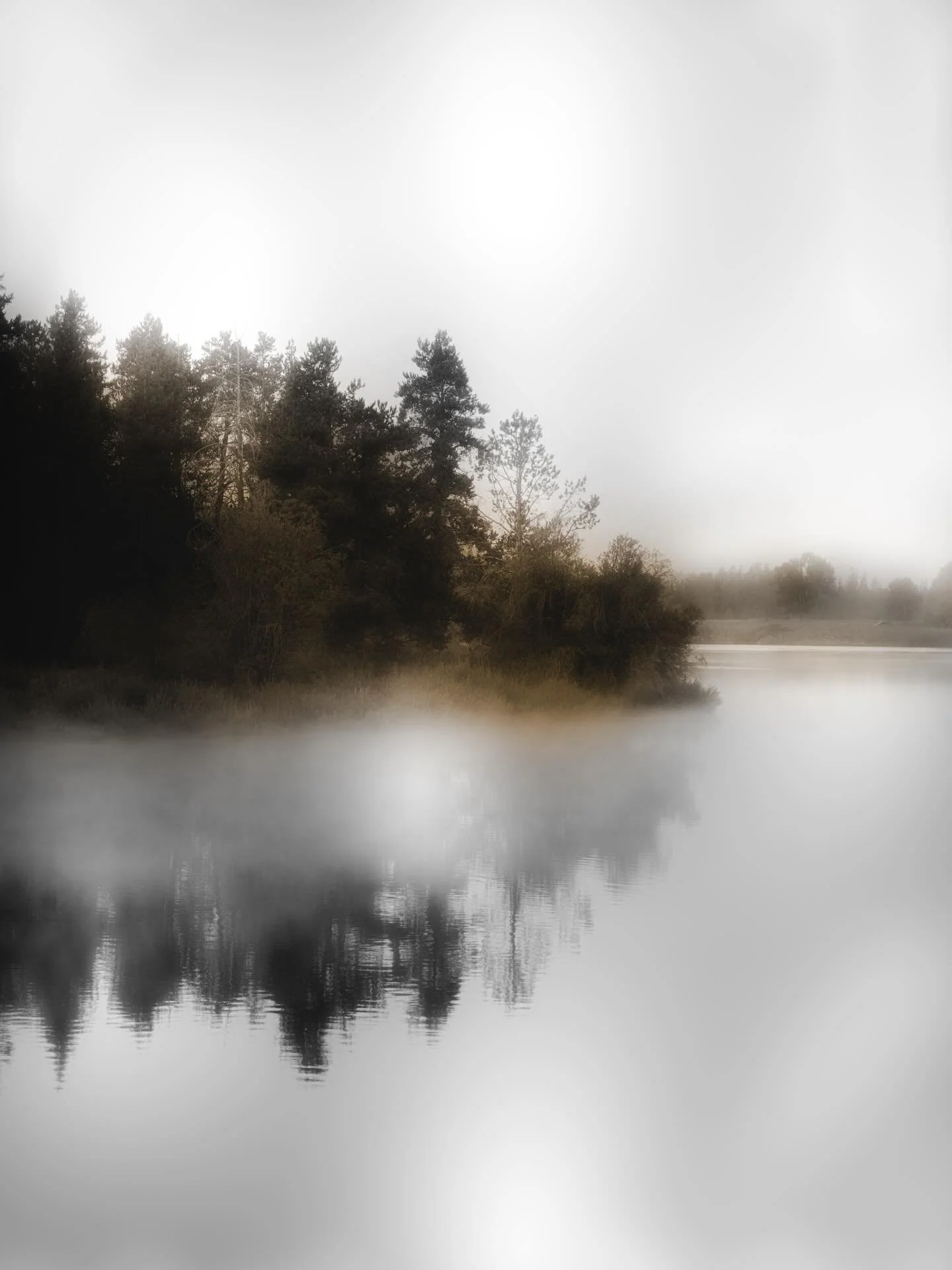 I&rsquo;m pretty sure that&rsquo;s Mt. Moran buried back there somewhere&hellip; you&rsquo;re just gonna have to trust me on this one. Fog had the whole place swallowed.

Got in long before sunup. Drive in was slow&hellip; couldn&rsquo;t see much pas