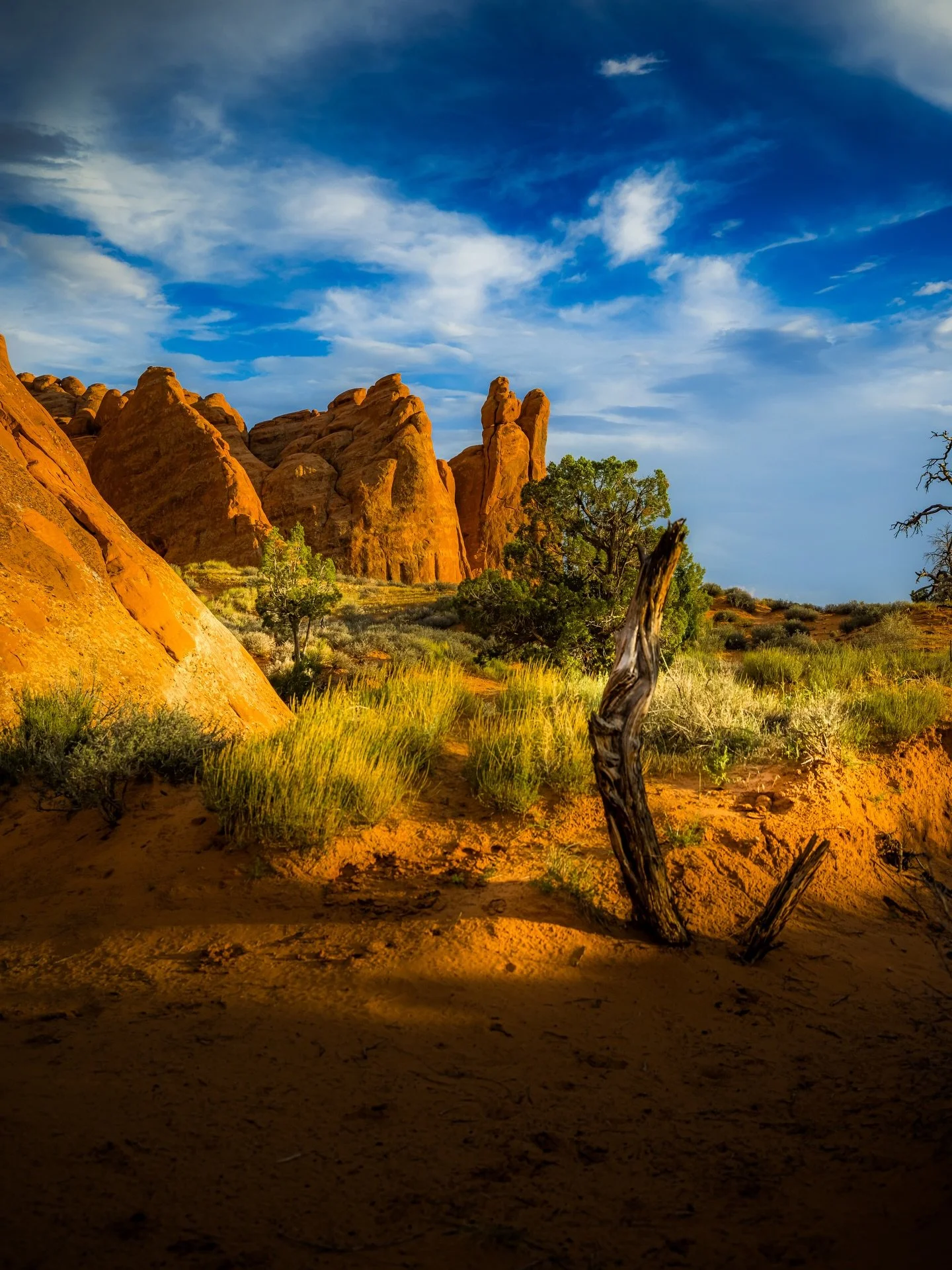 I love how mid-day light and shadows play in the desert and the earths colors .. #desert #desertlight #utah #utahlight #utahphotographer