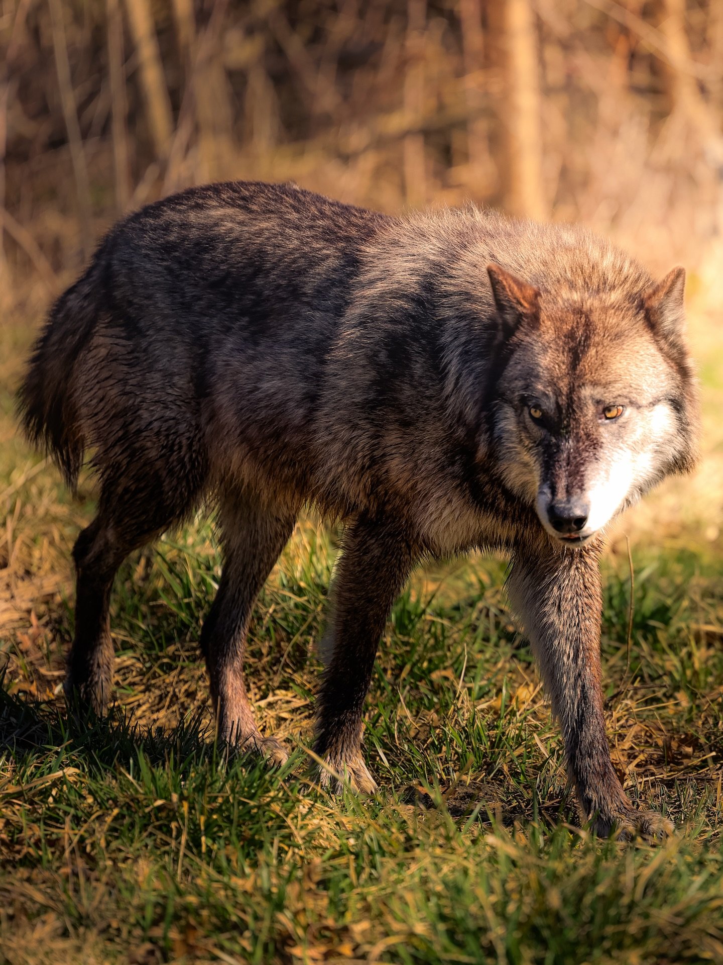 Catching first light&hellip;. My fave time of day