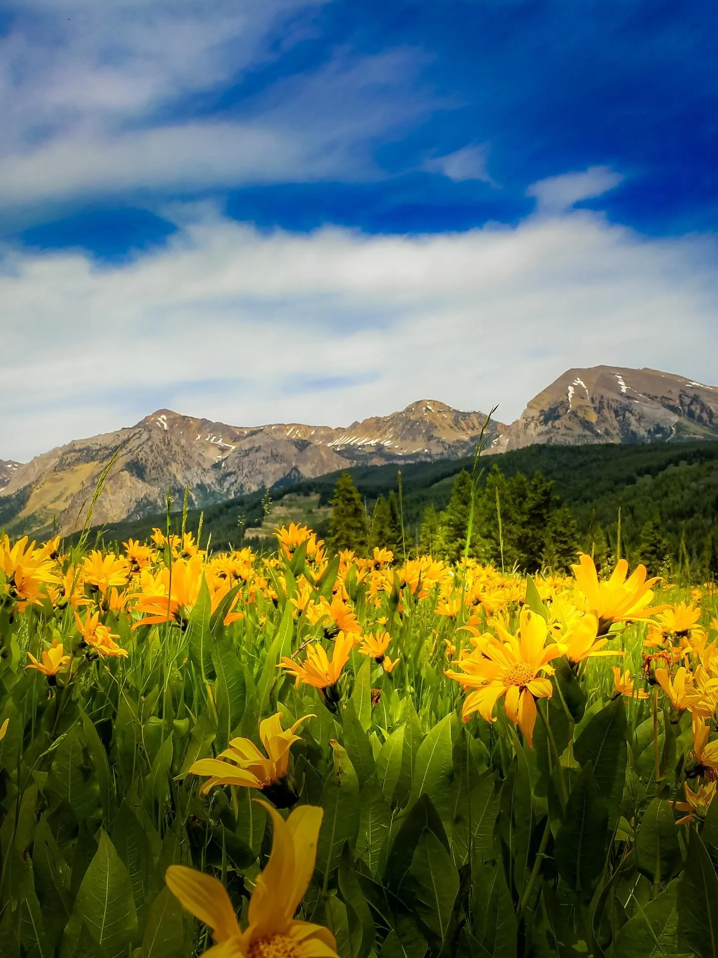 One of the most peaceful places i ever stopped to take a nap&hellip; #wyoming #wyomingphotographer #wyominglife