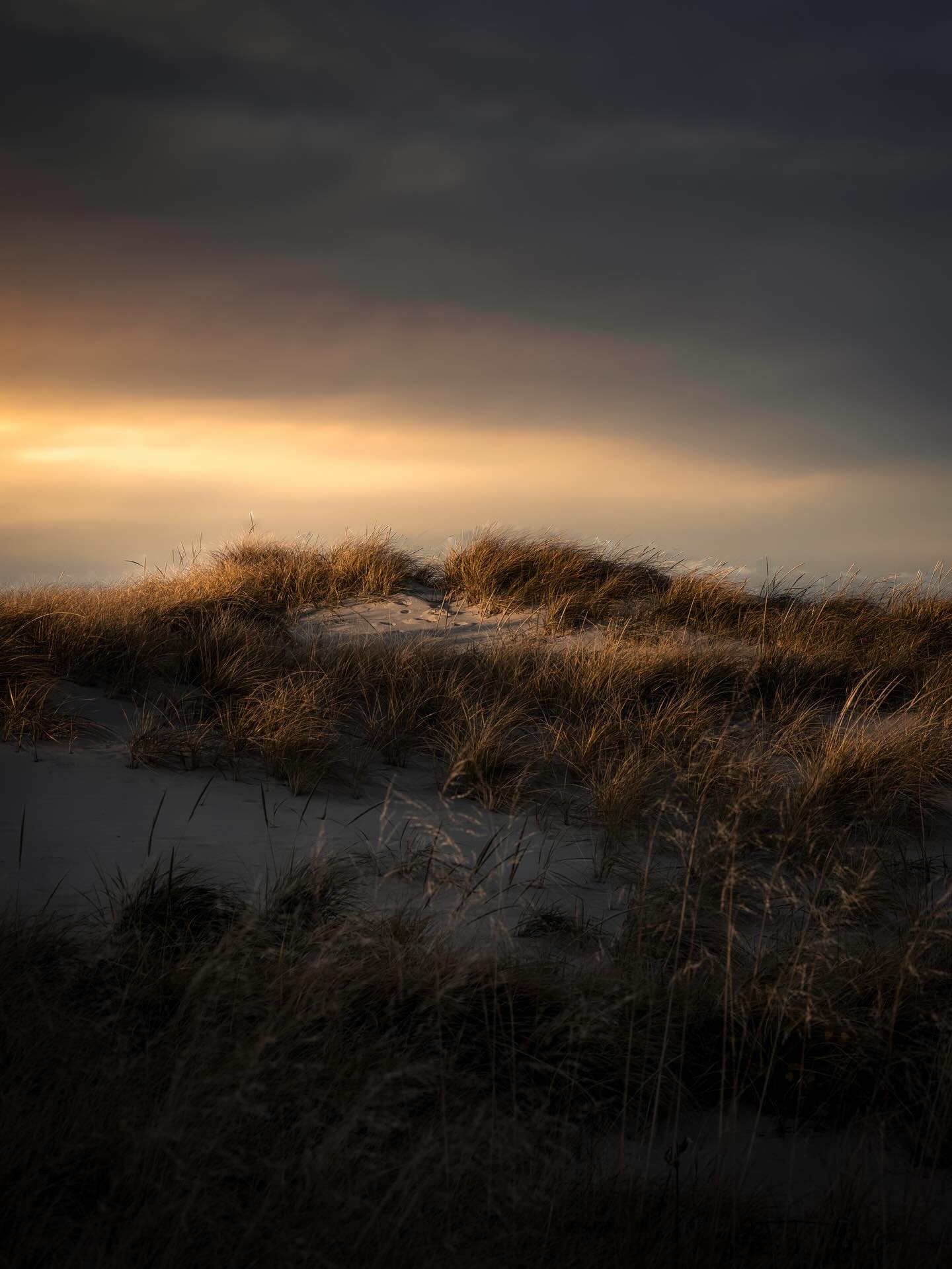 The kind of day most people turn around on&hellip; is the one I walk into.

Out on the Great Lakes dunes, wind cutting sideways&hellip; sand stinging your face like it&rsquo;s got something to prove. Cold enough your hands don&rsquo;t feel like yours