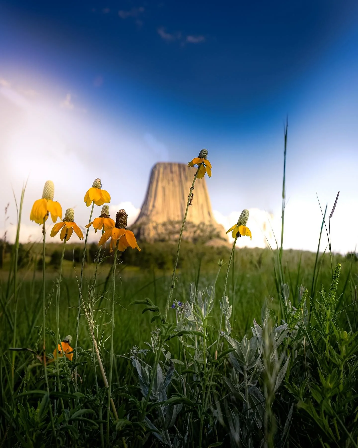 Soak it up&hellip;. #sun #wyominglife #wyoming