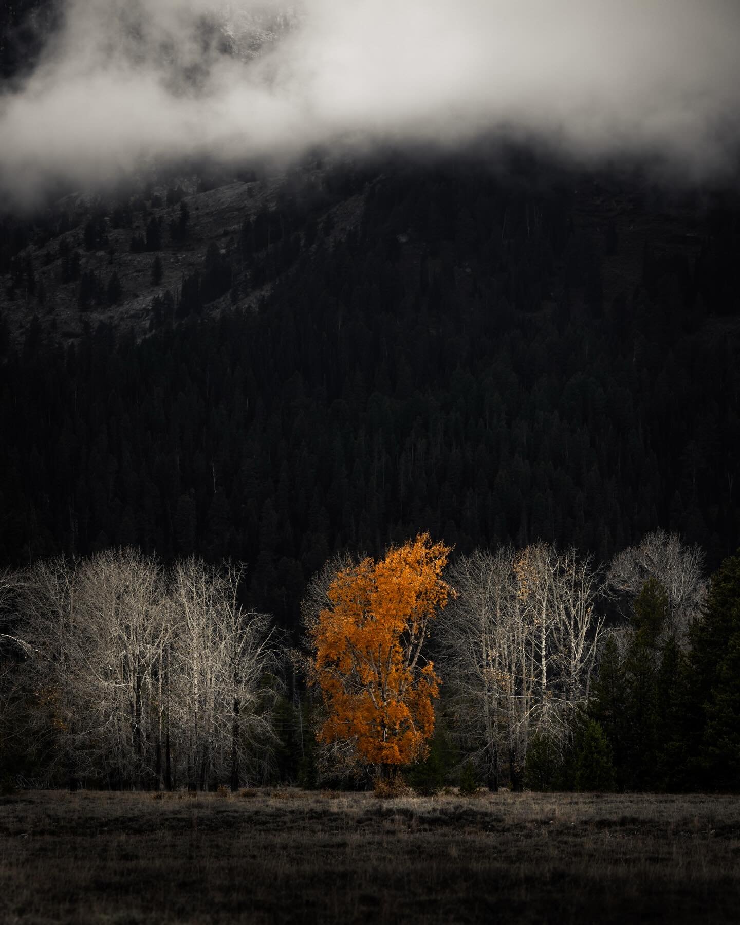 Some images you take.
Some images take something out of you&hellip; or give something back.

This one did both.

This was my first time back in the park after losing my mom&hellip; just a few months gone, but it felt like the ground had shifted under