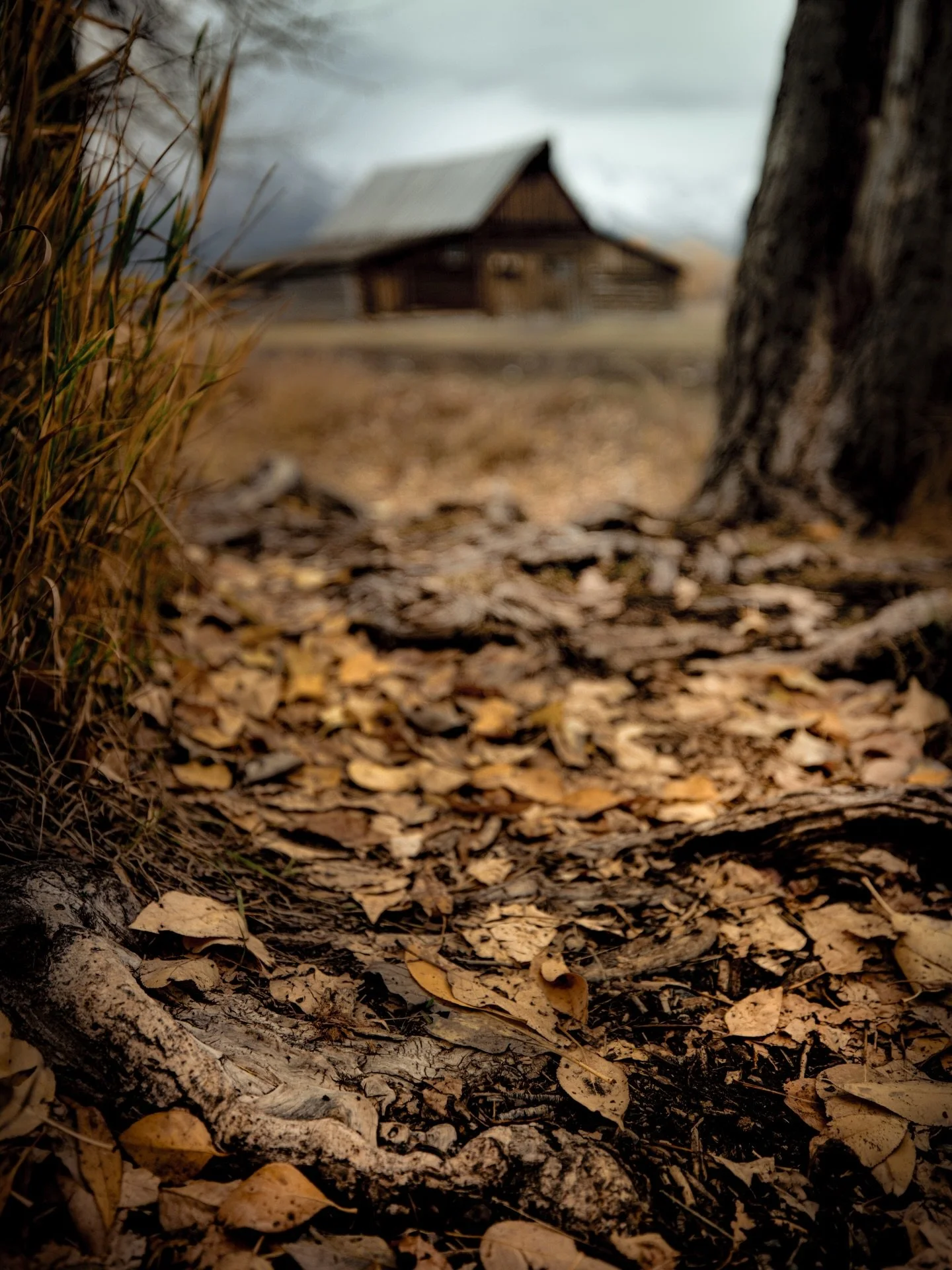 Taking pictures is savoring life intensely, every hundredth of a second.&hellip;. #wyoming #wyominglife #wyomingphotographer #grandteton