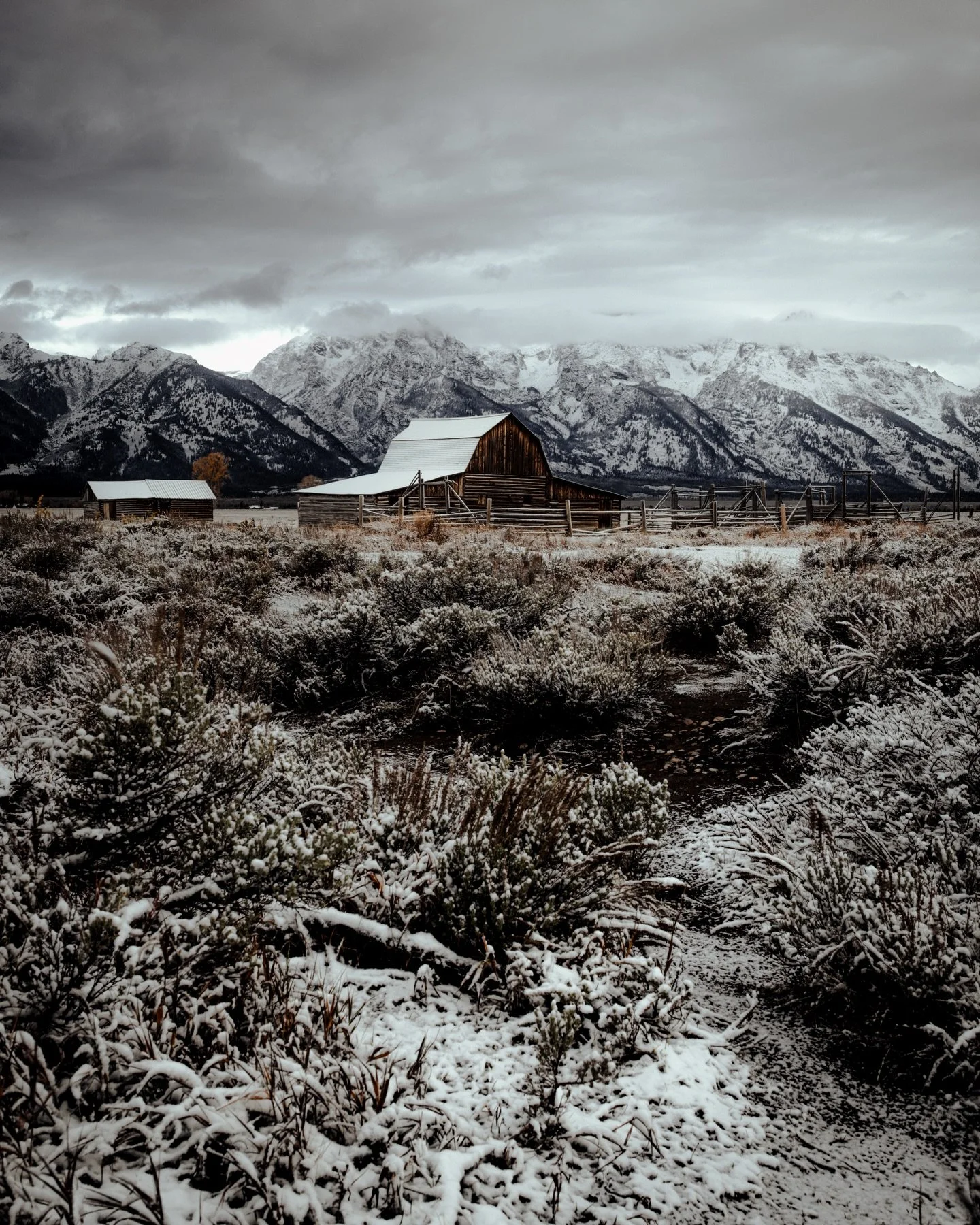 Good snowy Teton morning &hellip; #teton #wyoming #wyomingphotographer