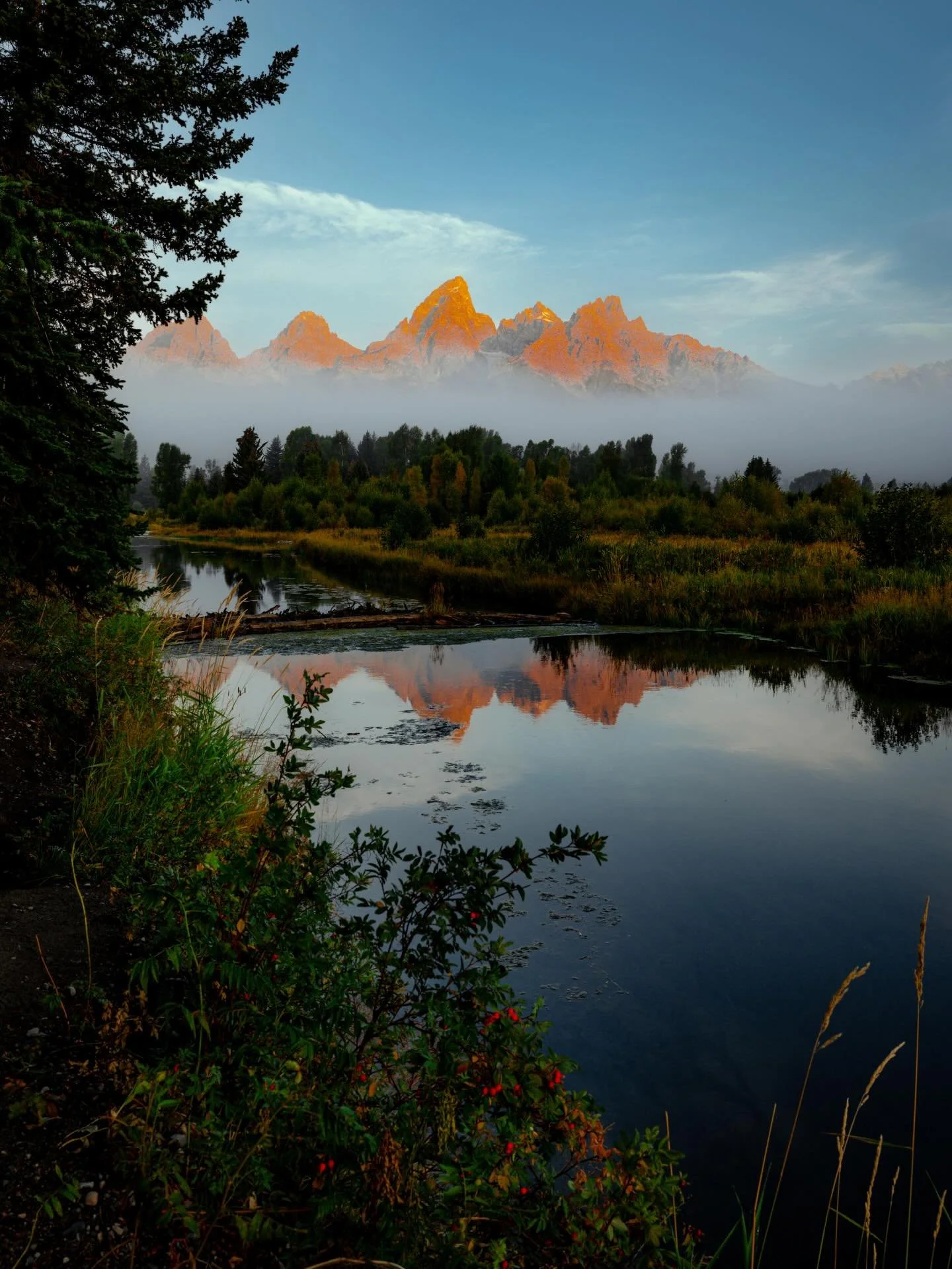 A great Teton morning.. #teton #grandteton #wyoming #wyomingphotographer