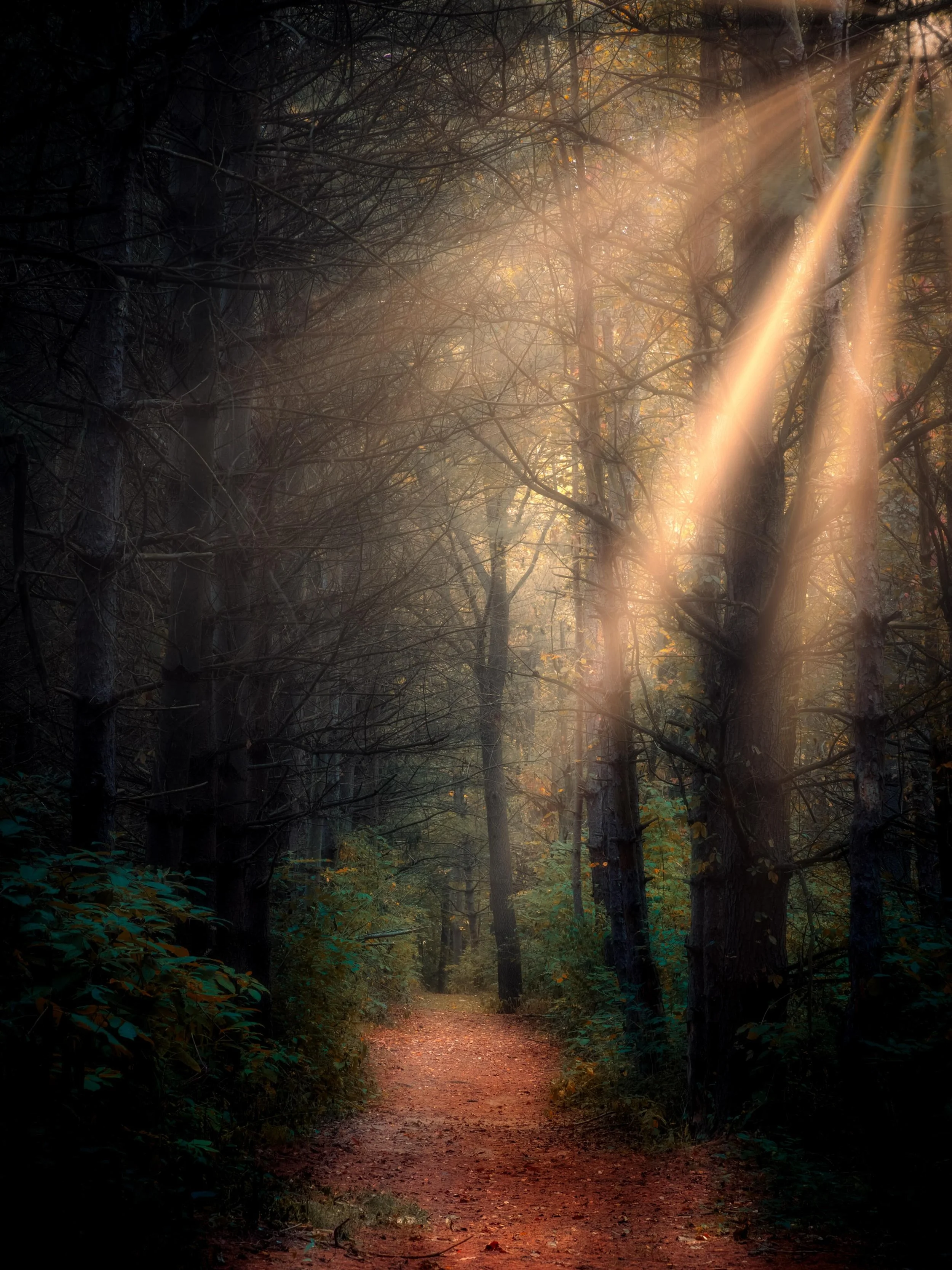 Morning walks&hellip;. #sunrise #morningvibes☀️ #morningmood