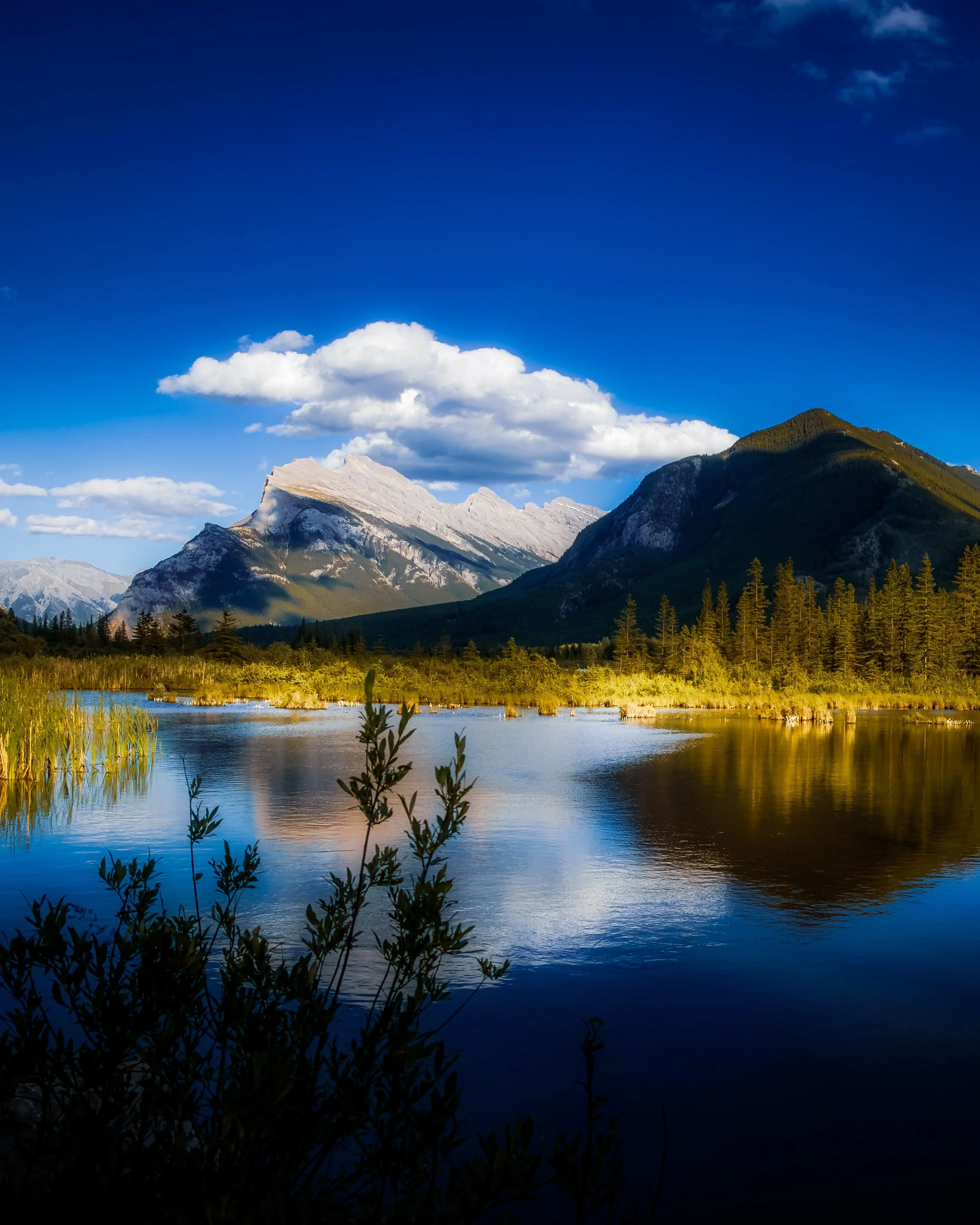 Hello Canada &hellip;. #alberta #albertacanada🇨🇦 #canad&aacute;