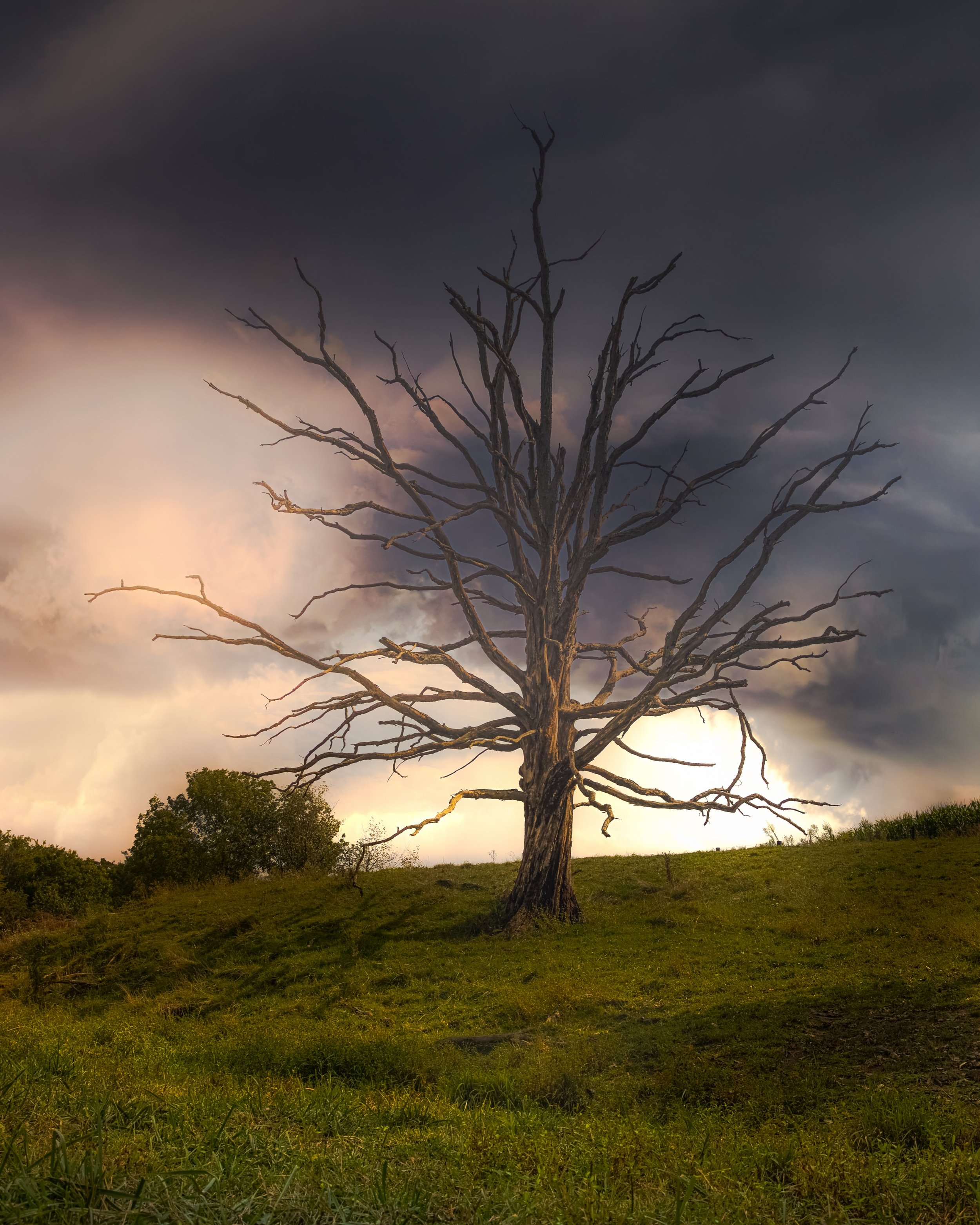 Iowa storms &hellip;. #iowa #iowastorms #home #hometown