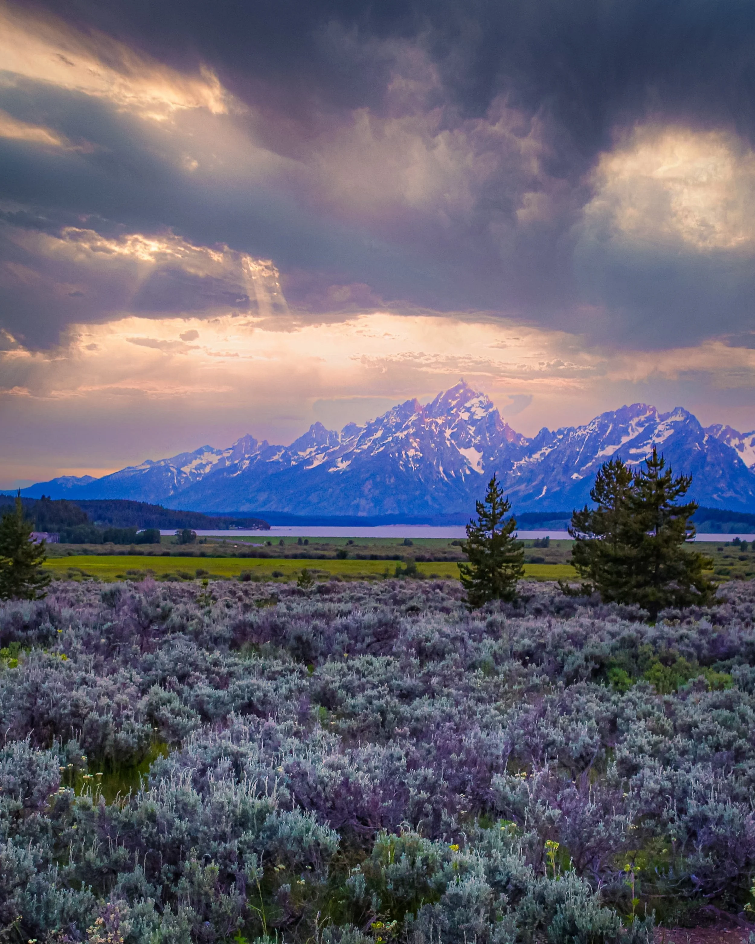 Prince would have just stood and stared&hellip; just like I did&hellip;. #teton #wyoming #grandteton #wyomingphotographer