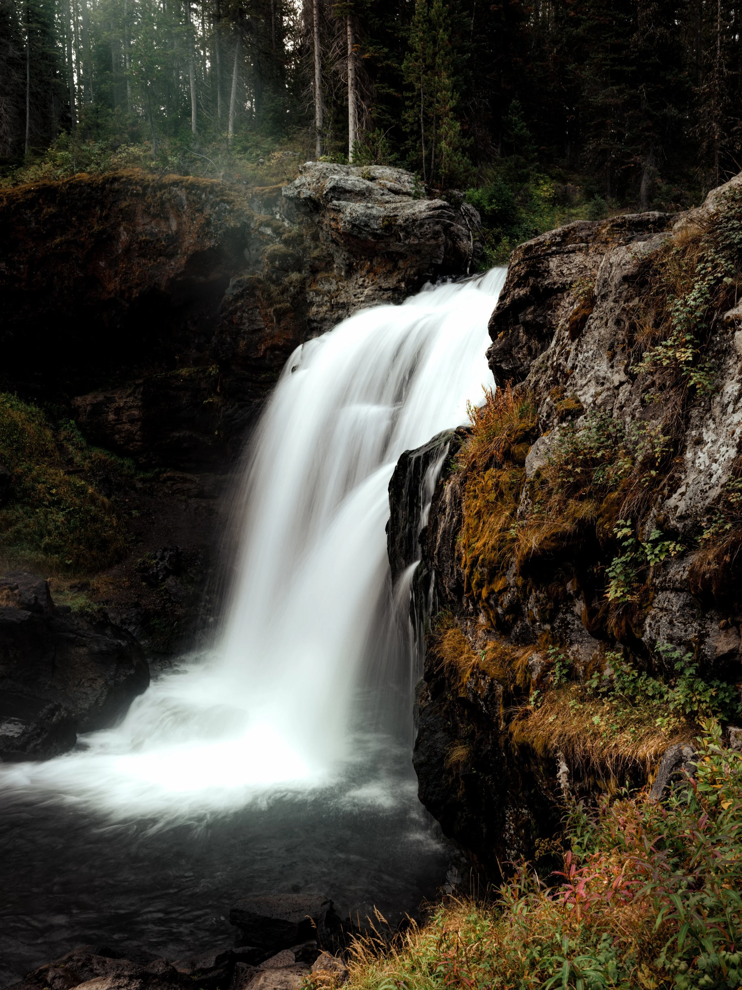 Just a little bit of zen&hellip; we all need it from time to time. #zen #peace #quiet #zenmoment