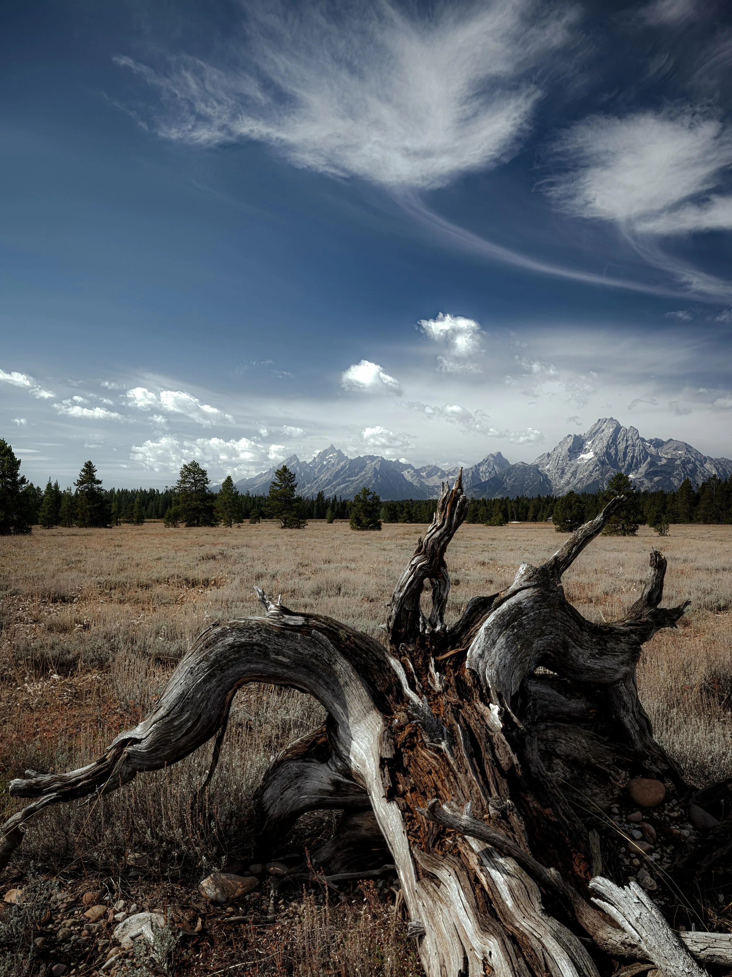 Found a log&hellip; i sat.. i napped.. i shot&hellip; this is the result.. #wyoming #teton #grandteton #wyomingphotographer