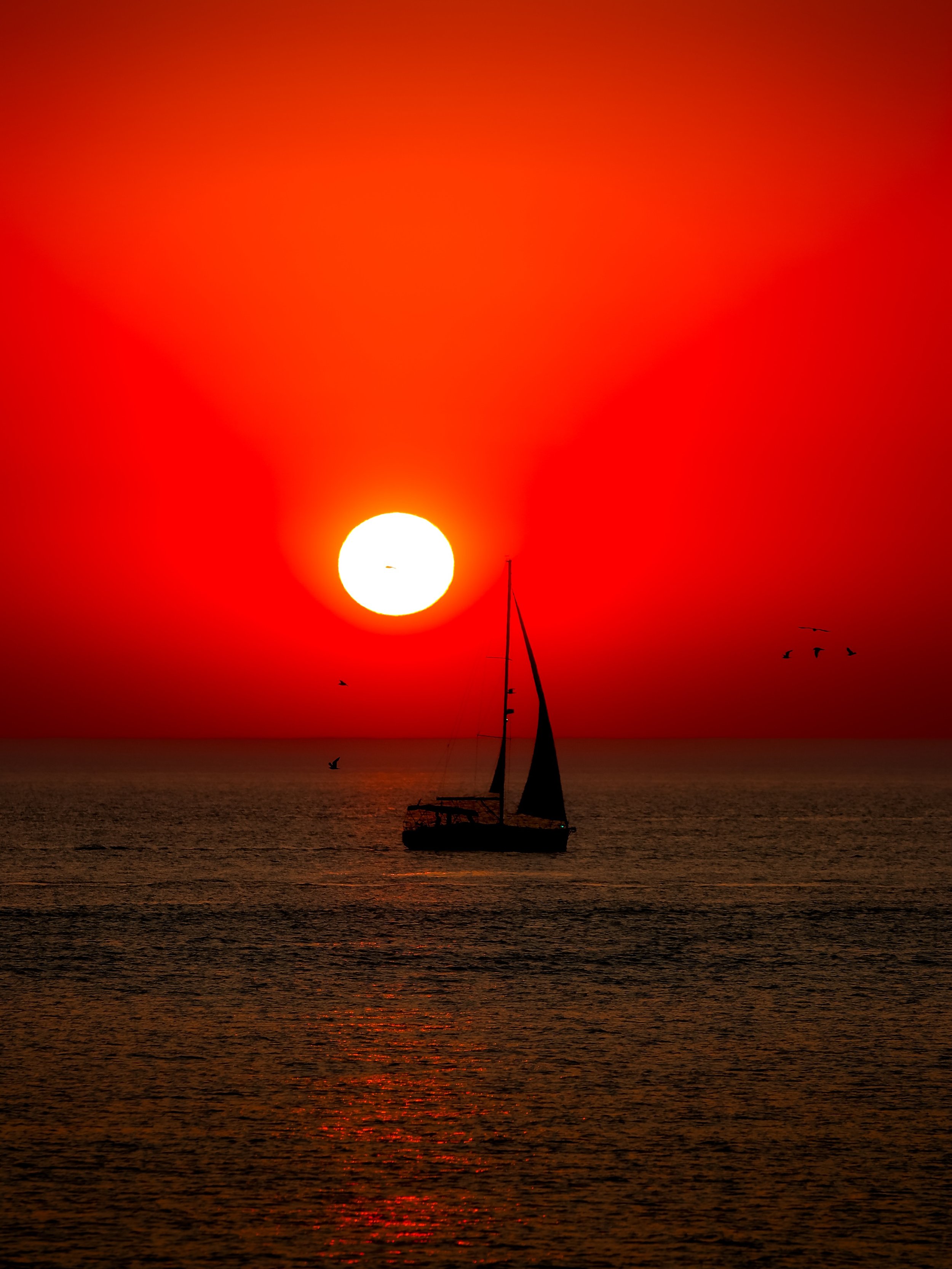 A deep red sunset can be so peaceful.. #redskies #redsunset #sunset #sunsets