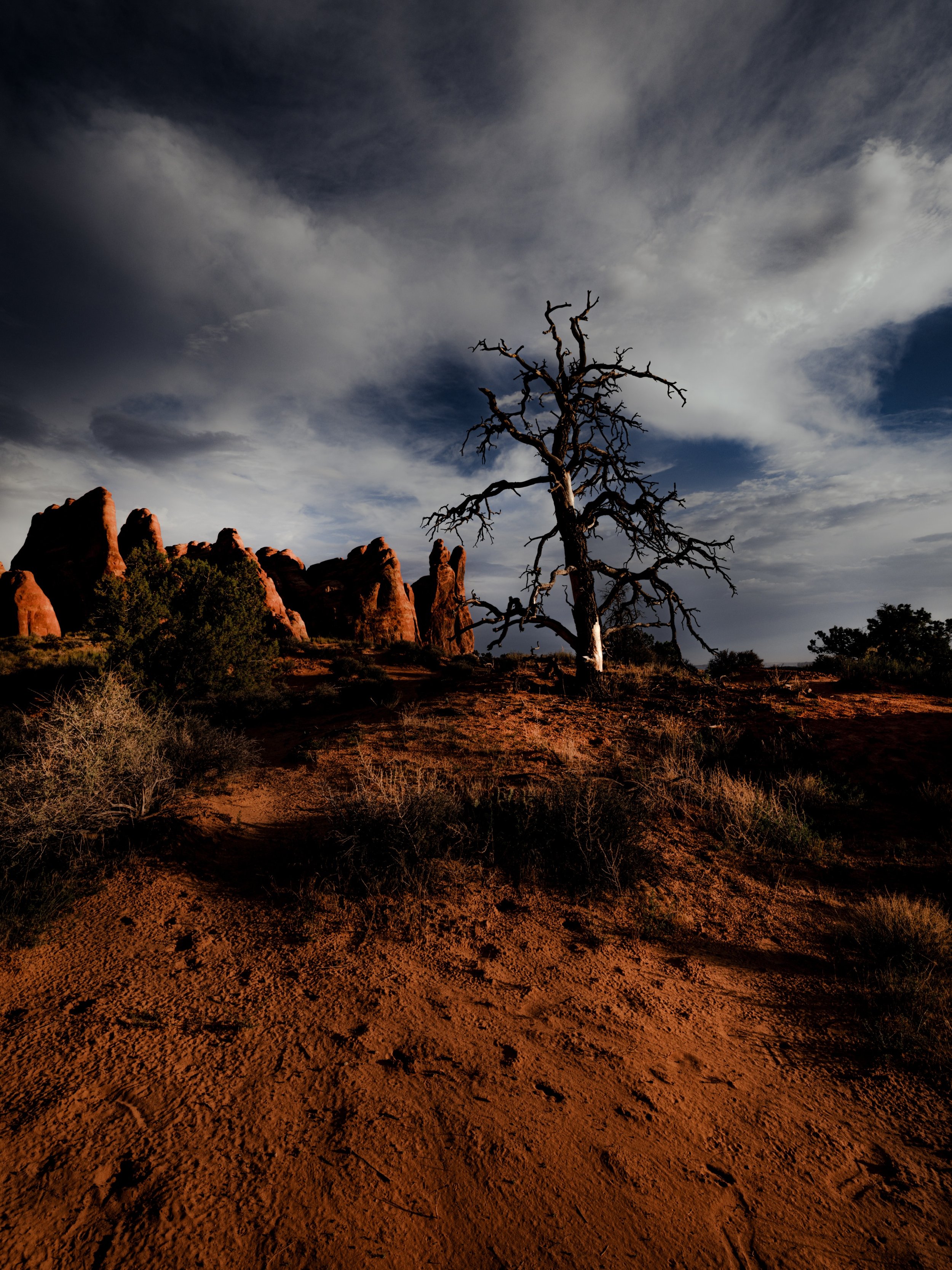 Morning hikes in desert storms #desert #utahdesert #utah