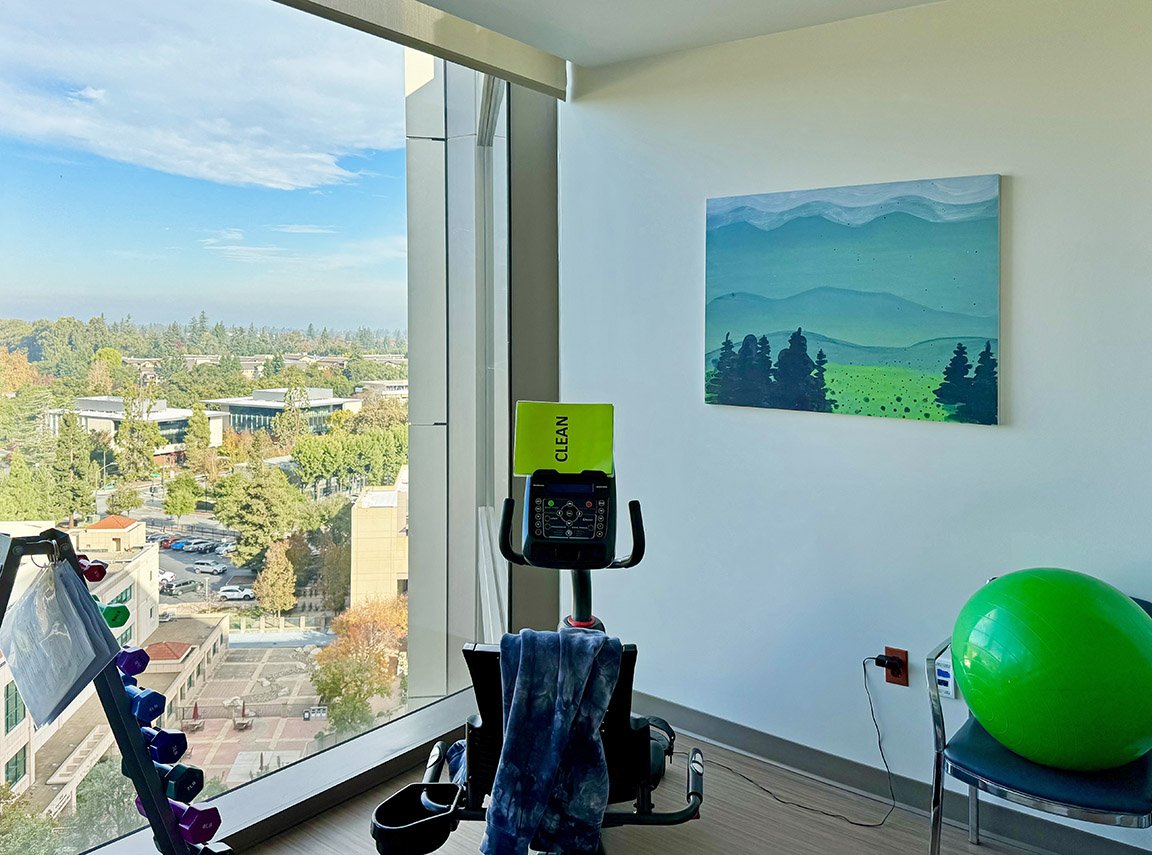 Tucker Nichols, Installation view, Stanford Hospital Rehab Gym, 2025